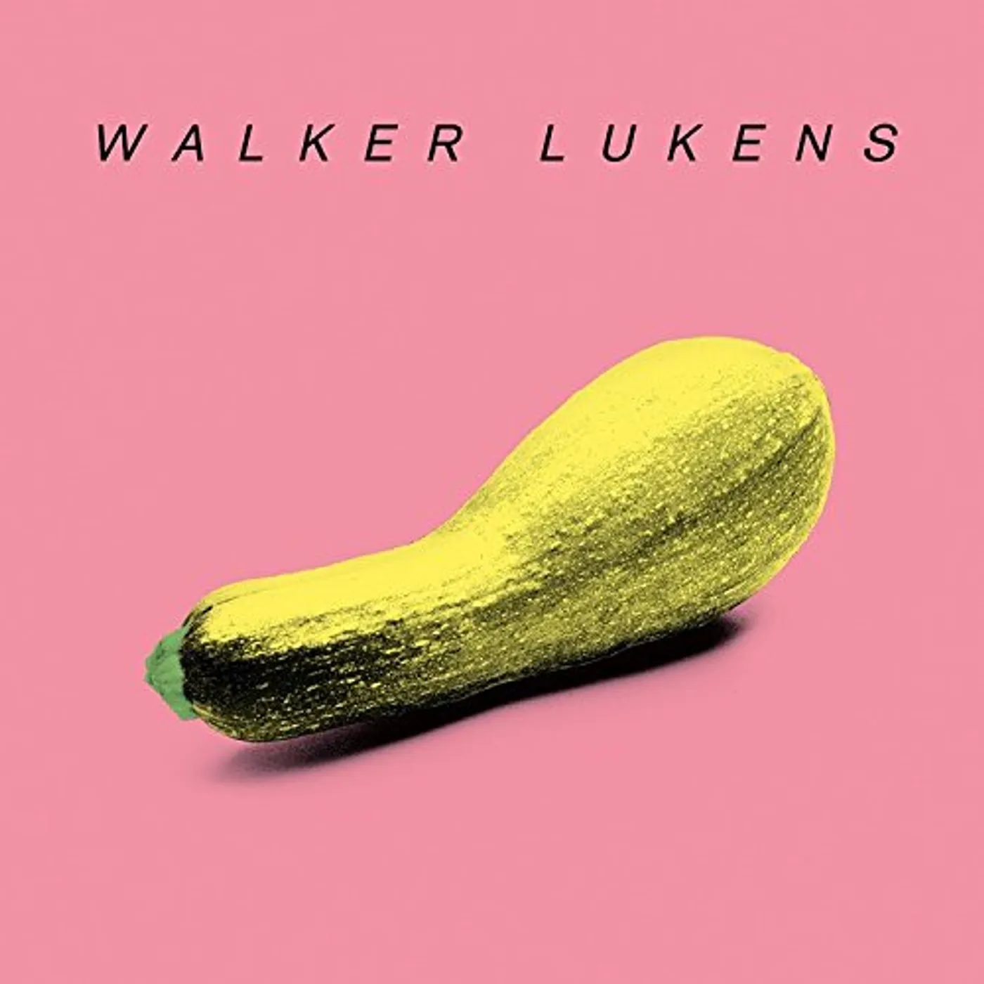 Walker Lukens TELL IT TO THE JUDGE CD