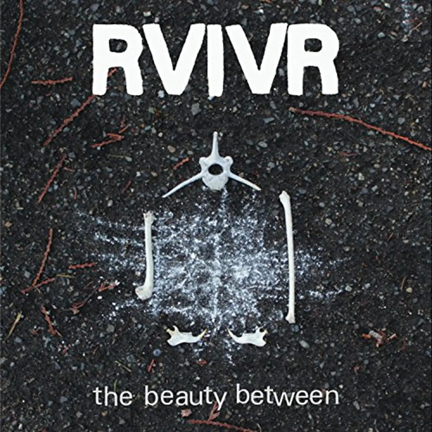 RVIVR JOESTER SESSIONS '08-'11 CD