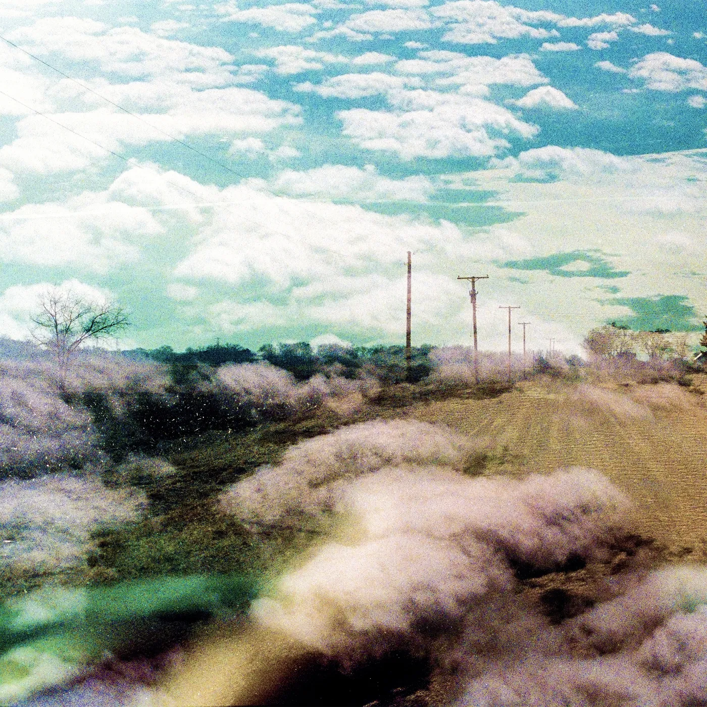 The World Is A Beautiful Place & I Am No Longer Afraid To Die Always Foreign - Limited Edition Clear Colored Vinyl Record