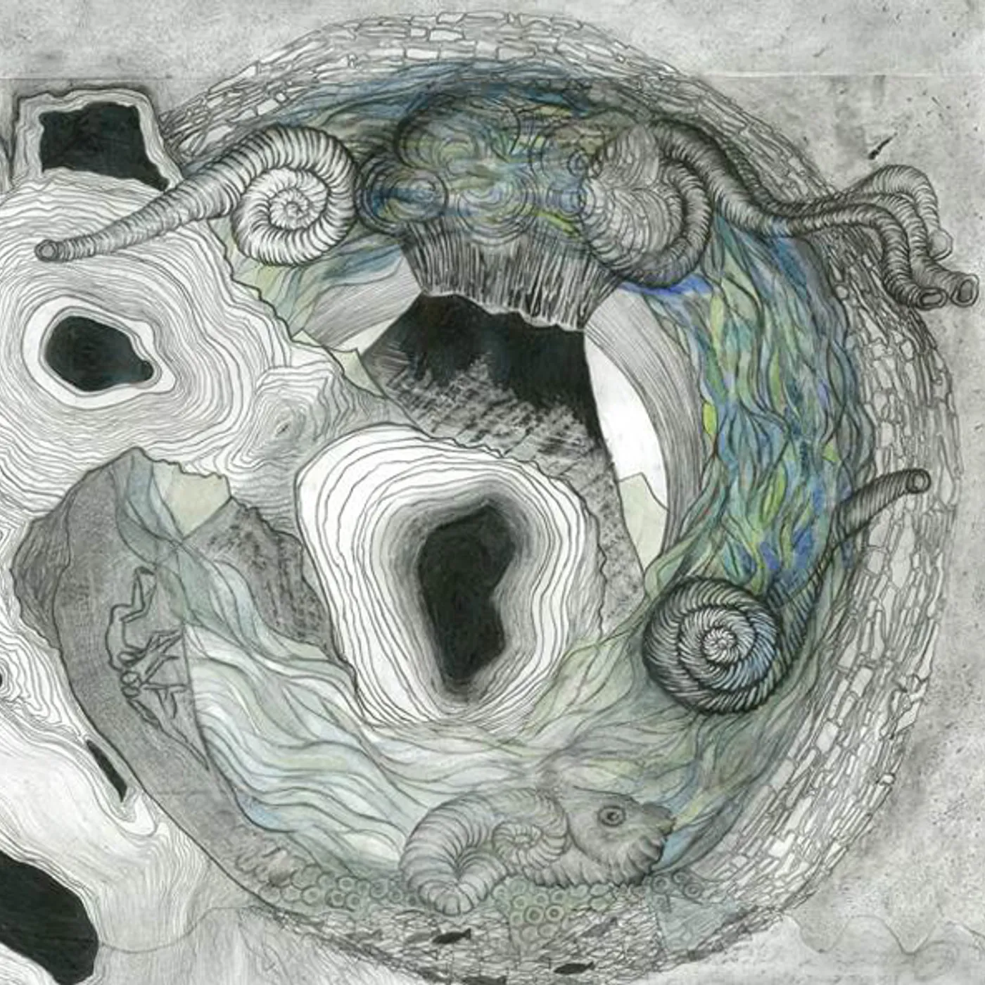 Aine O'dwyer Gallarais Vinyl Record