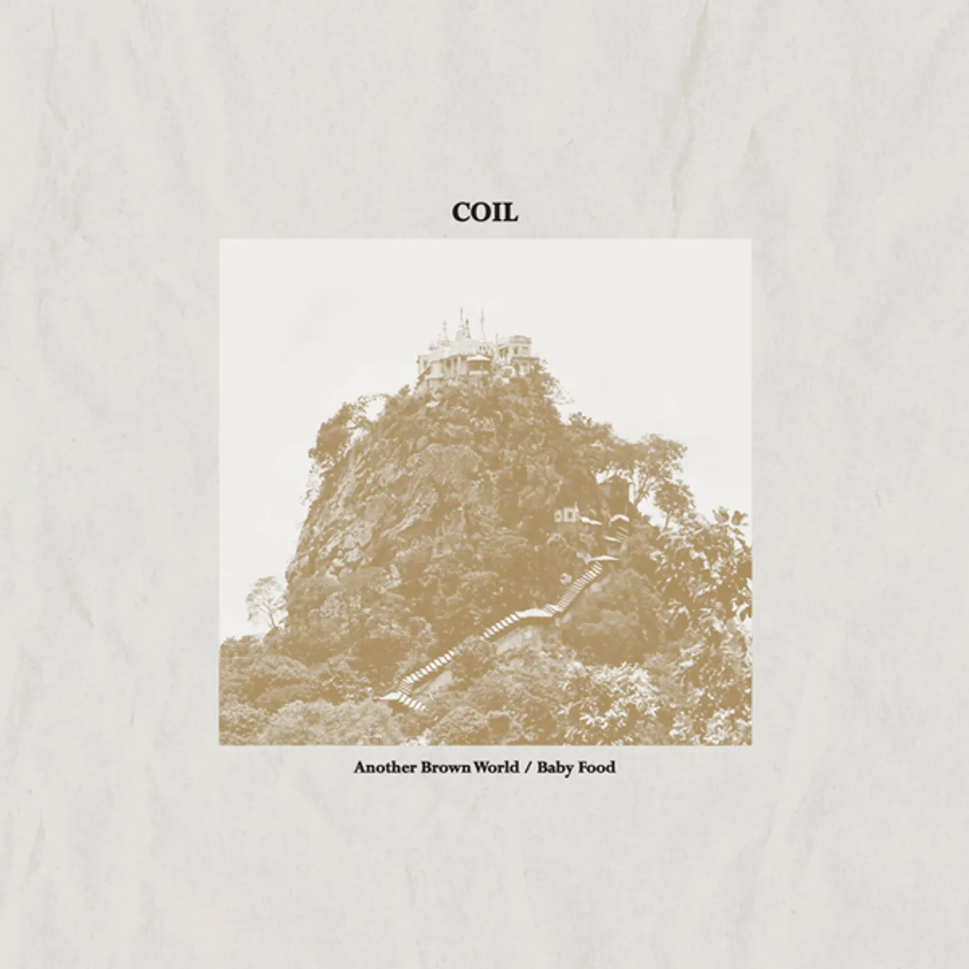 Coil Another Brown World / Baby Food Vinyl Record