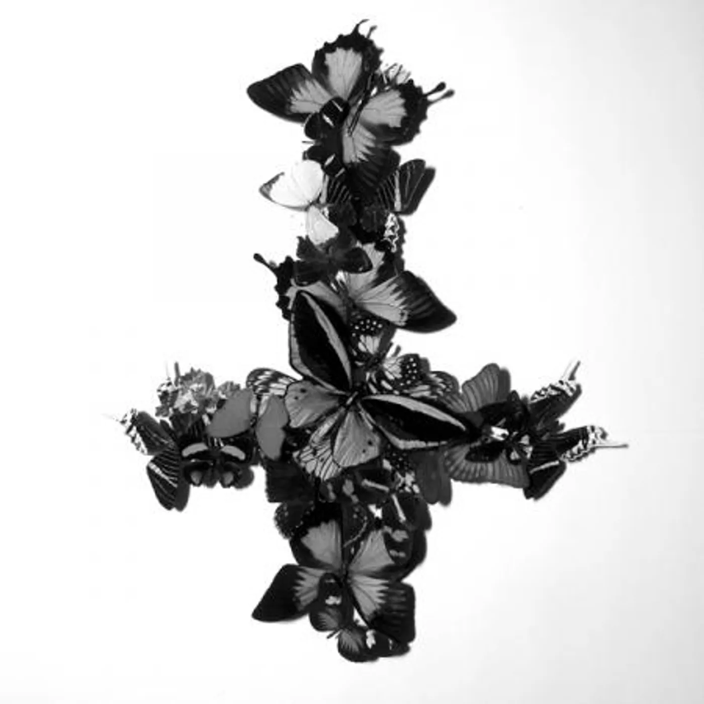 Monarch NEVER FOREVER CD