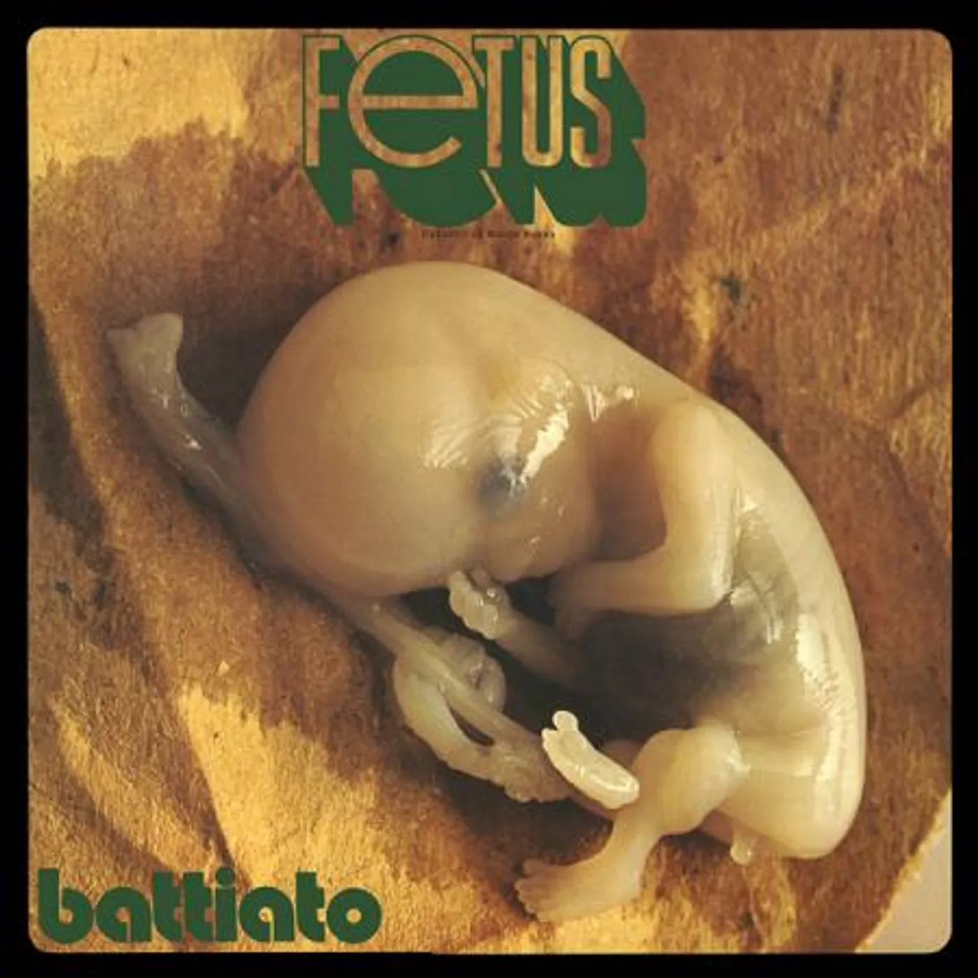 Franco Battiato Fetus Vinyl Record