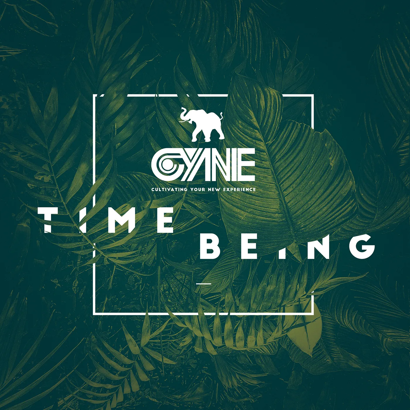 CYNE Time Being Vinyl Record