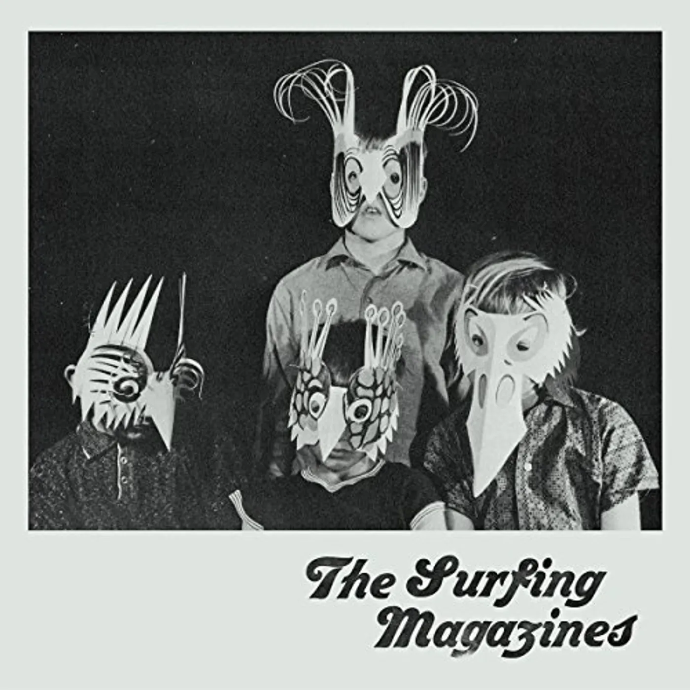 The Surfing Magazines Vinyl Record