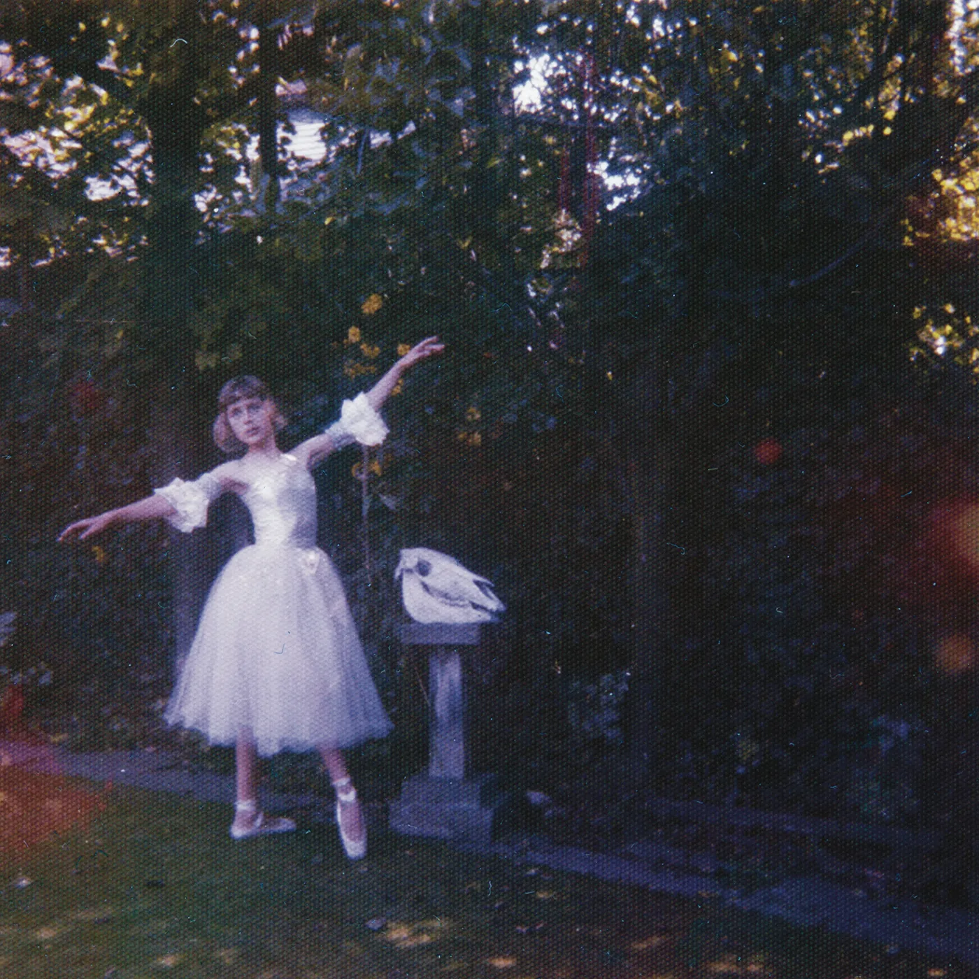 Wolf Alice Visions Of A Life Vinyl Record