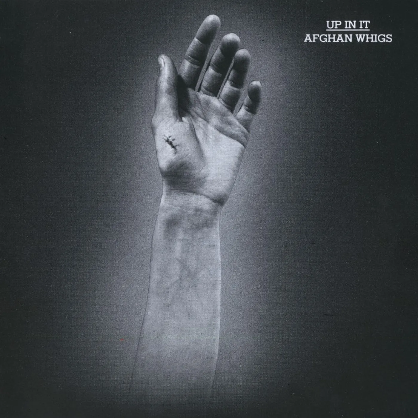 The Afghan Whigs UP IN IT Vinyl Record