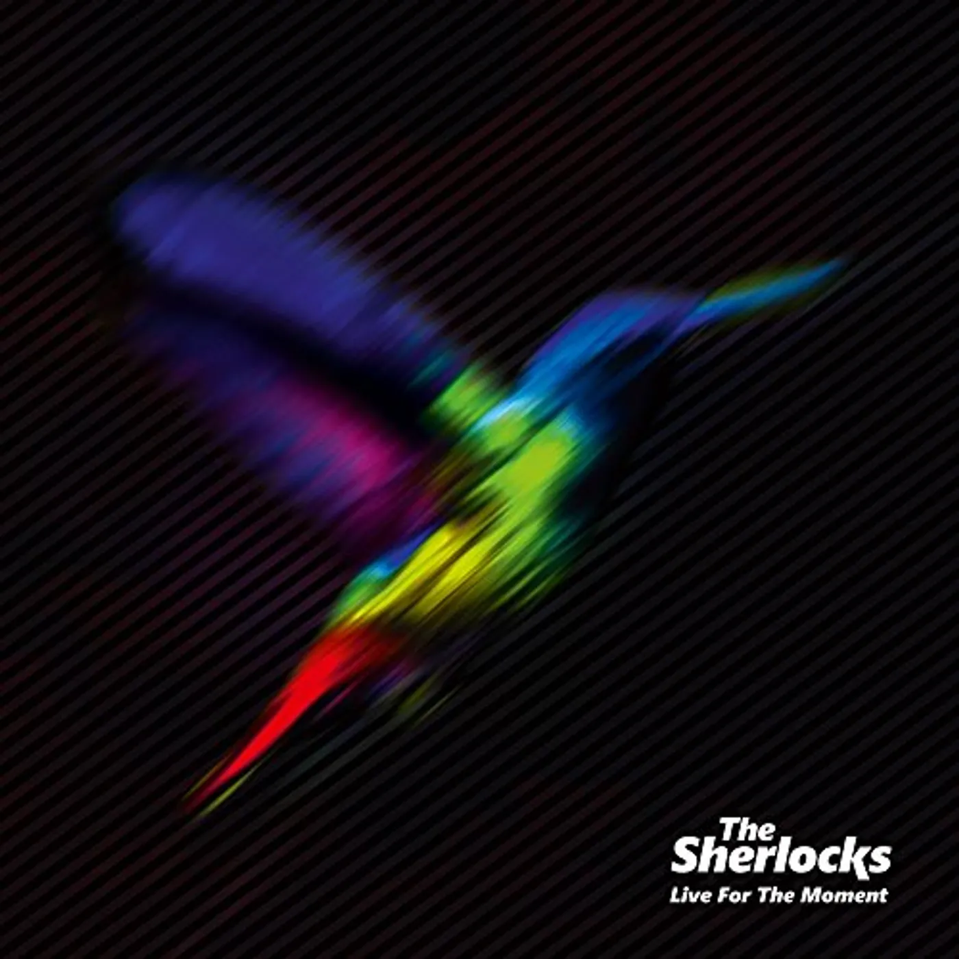 The Sherlocks LIVE FOR THE MOMENT CD