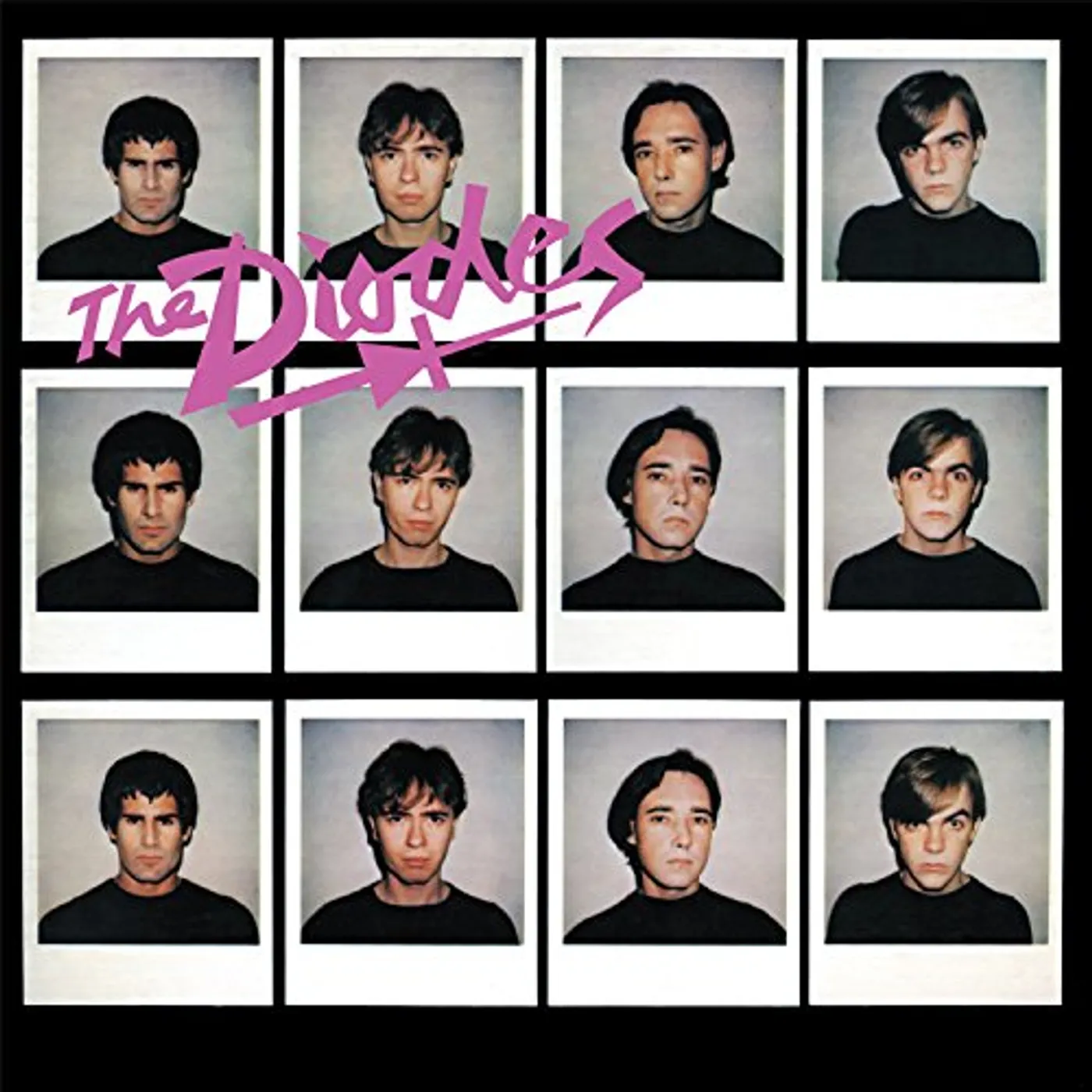 The Diodes Vinyl Record