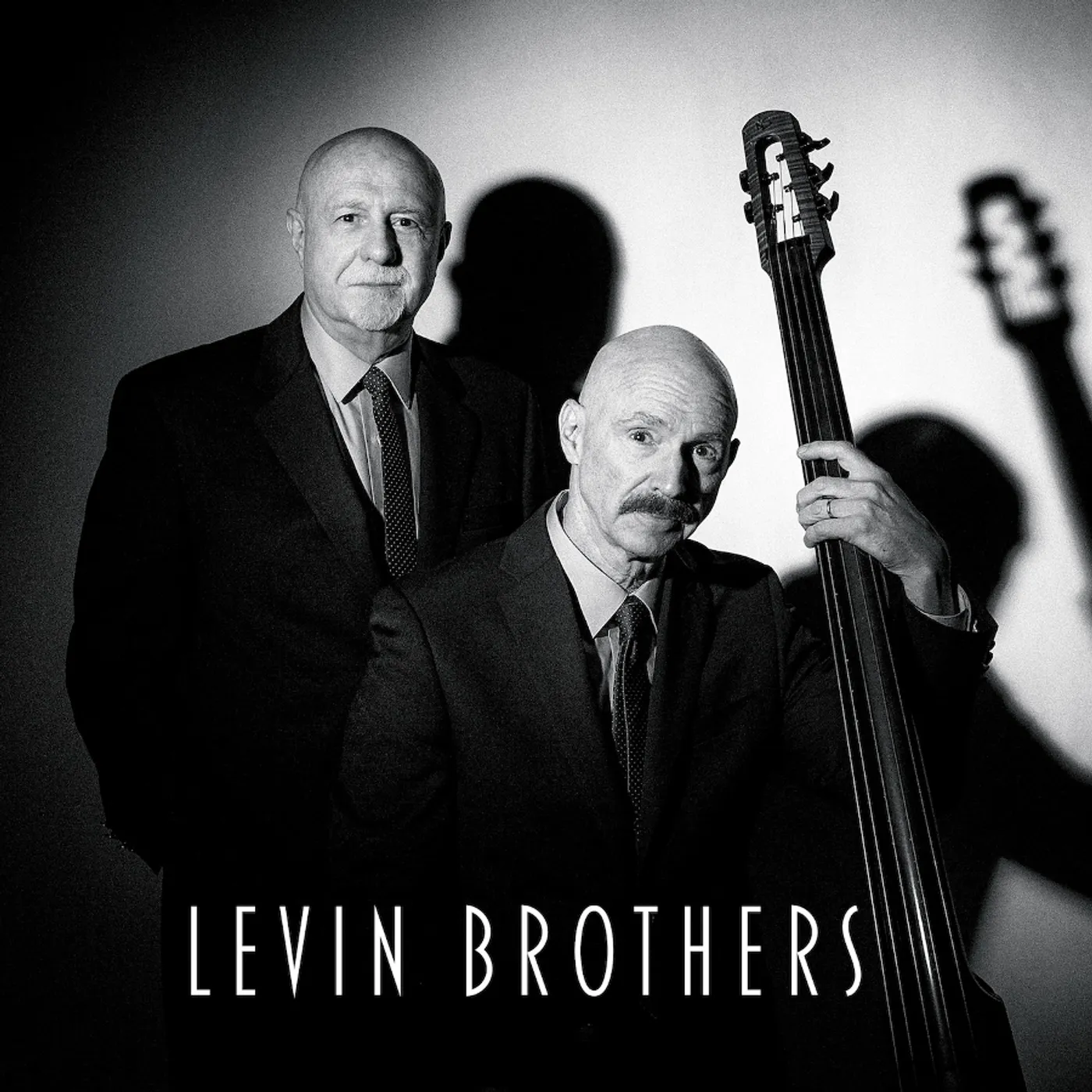 LEVIN BROTHERS CD