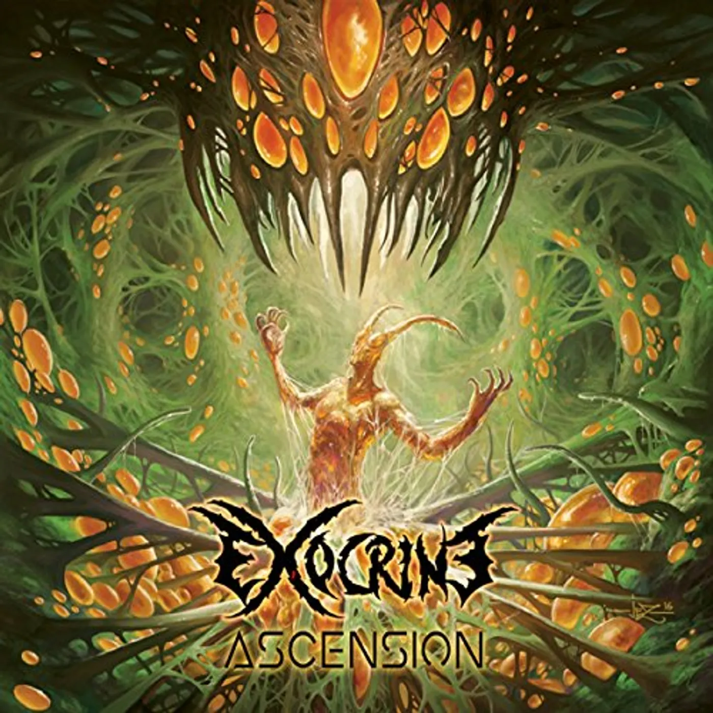 Exocrine ASCENSION CD