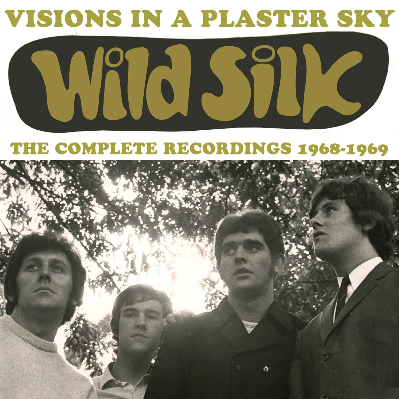 Wild Silk VISIONS IN A PLASTER SKY: COMP RECORDINGS 1968-69 CD