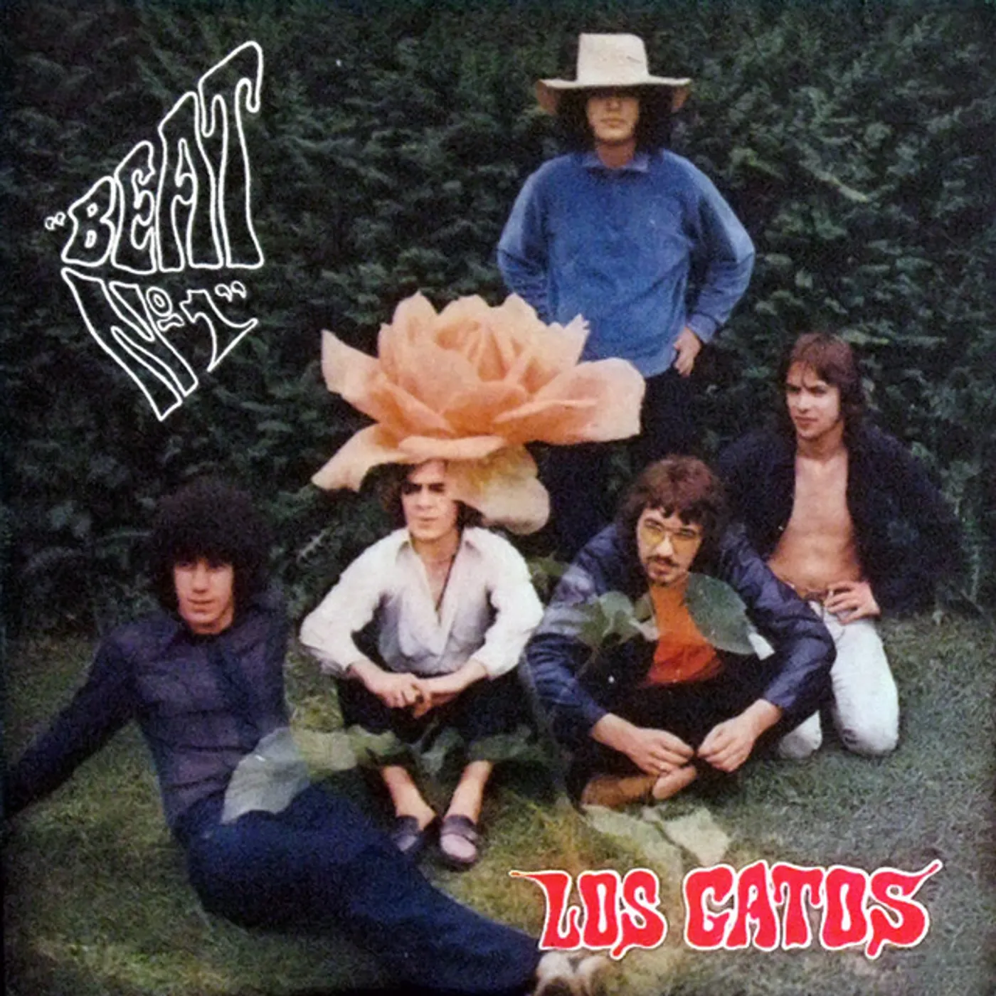 Los Gatos BEAT N1 Vinyl Record