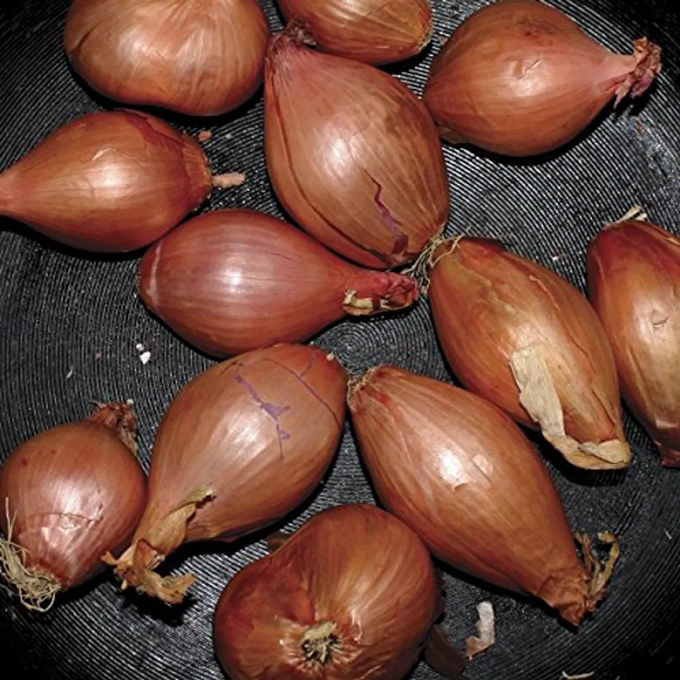 Ty Segall Fried Shallots Vinyl Record