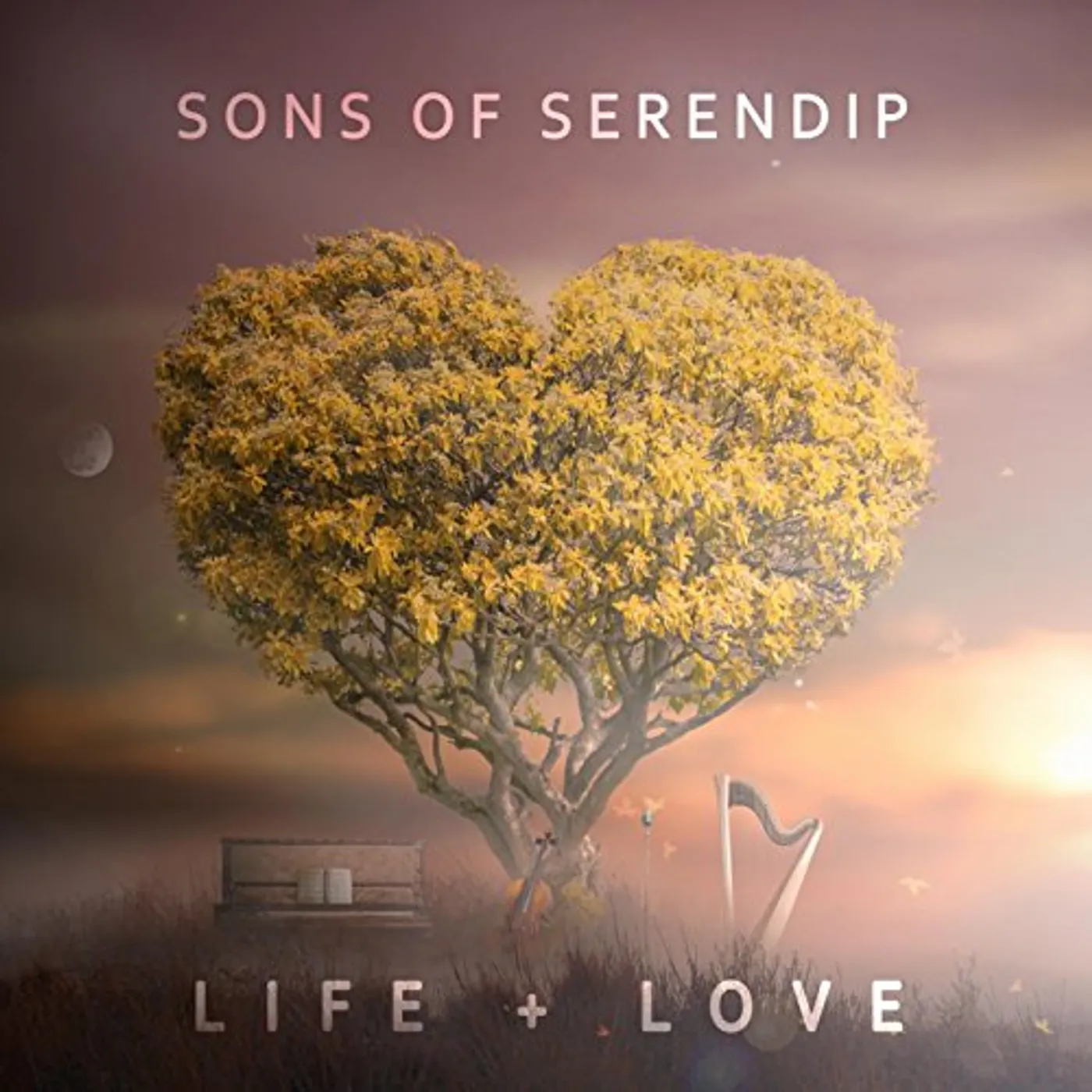 Sons of Serendip Life + Love CD