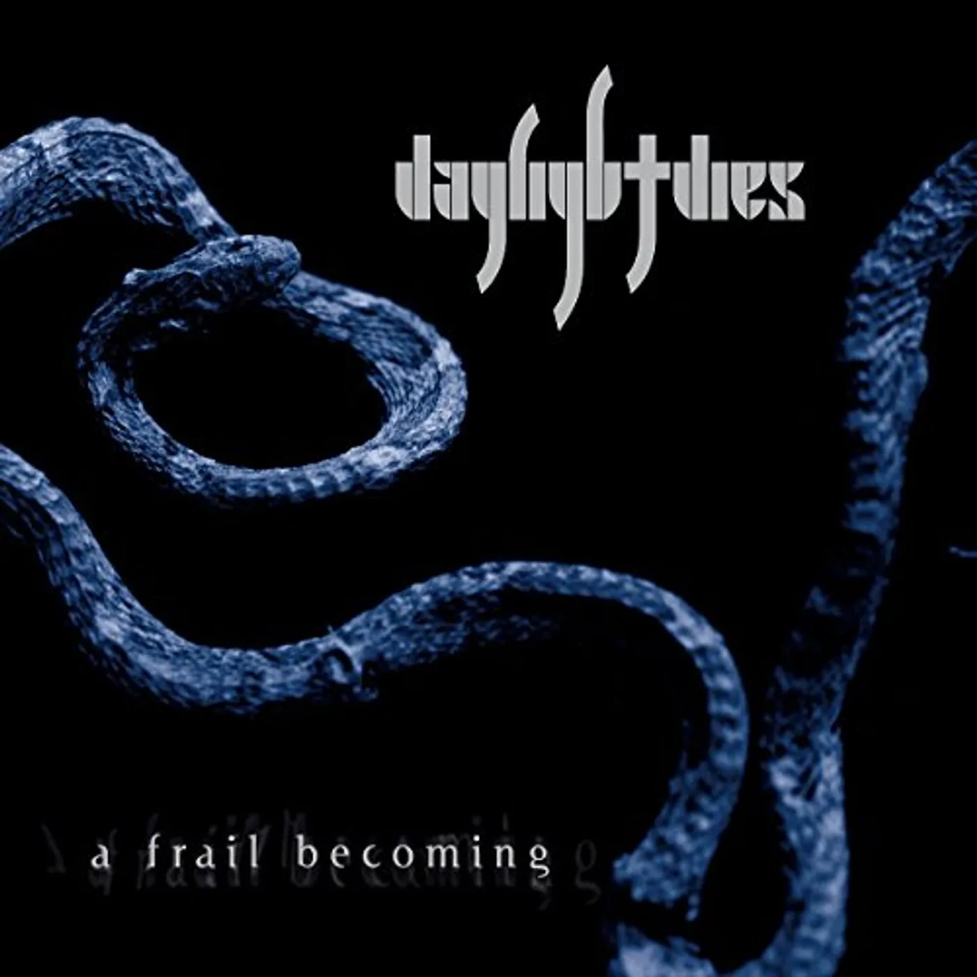 Daylight Dies FRAIL BECOMING Vinyl Record