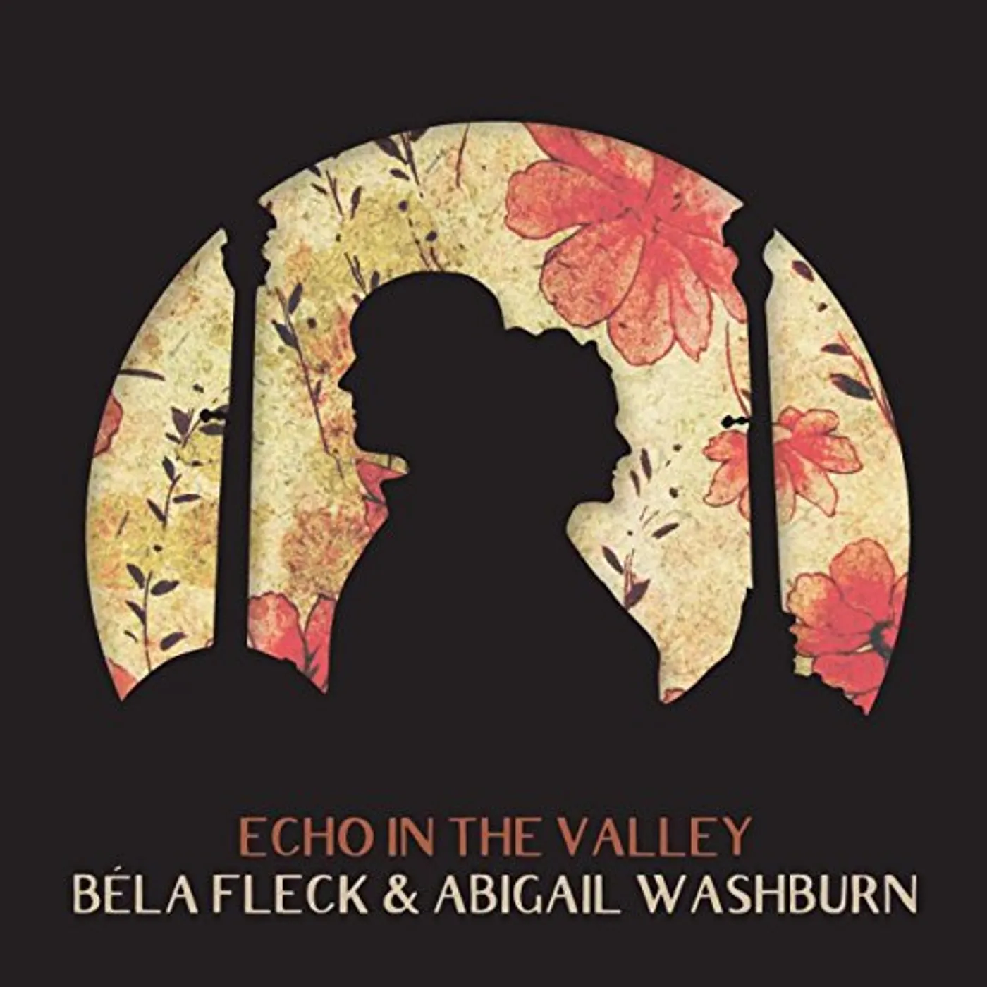 Abigail Washburn Echo In The Valley Vinyl Record