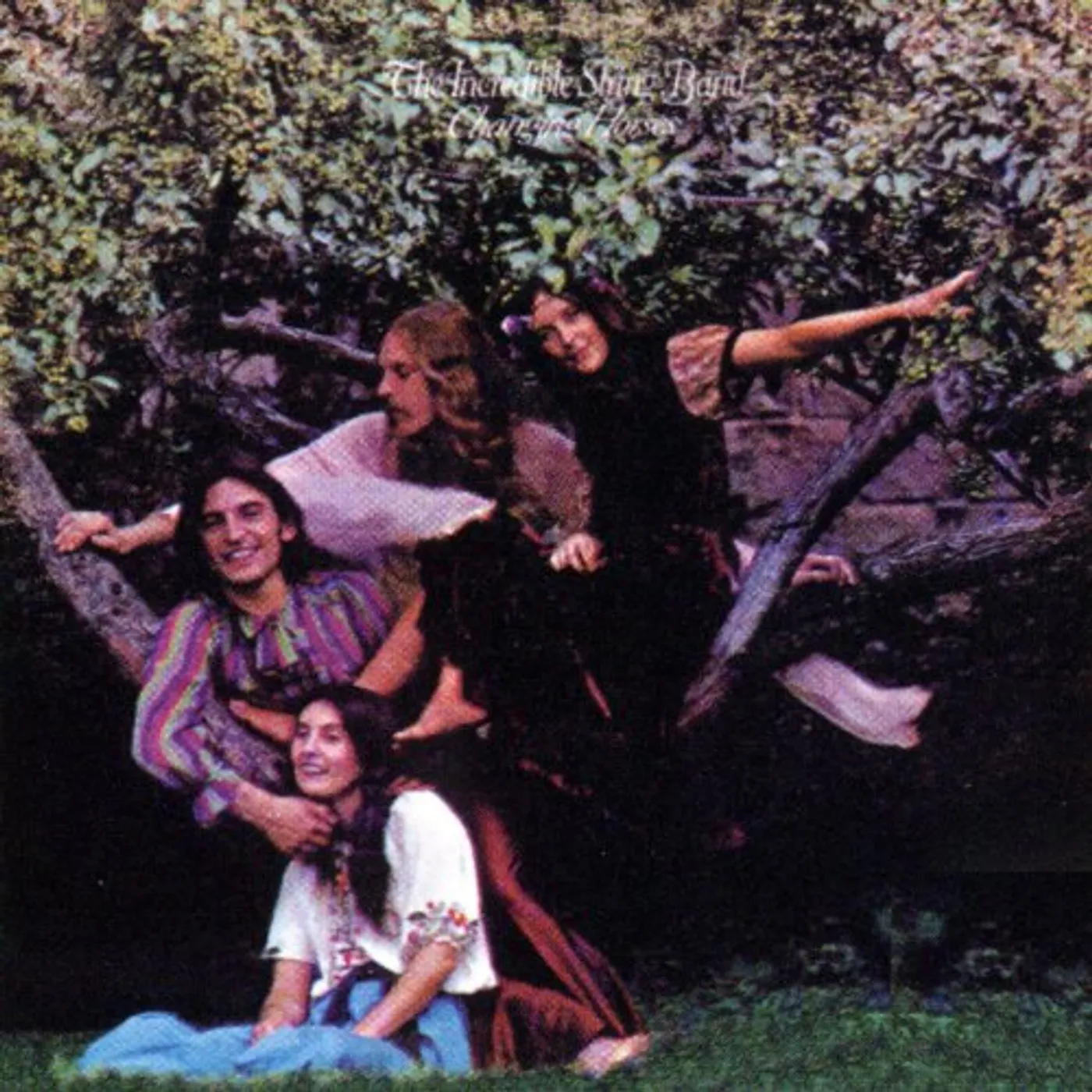 Incredible String Band CHANGING HORSES CD