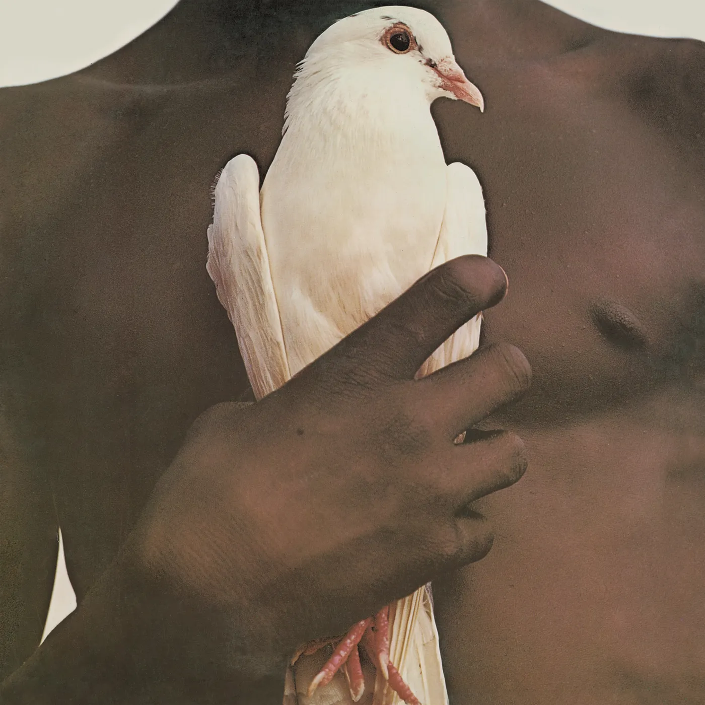 SANTANA'S GREATEST HITS Vinyl Record