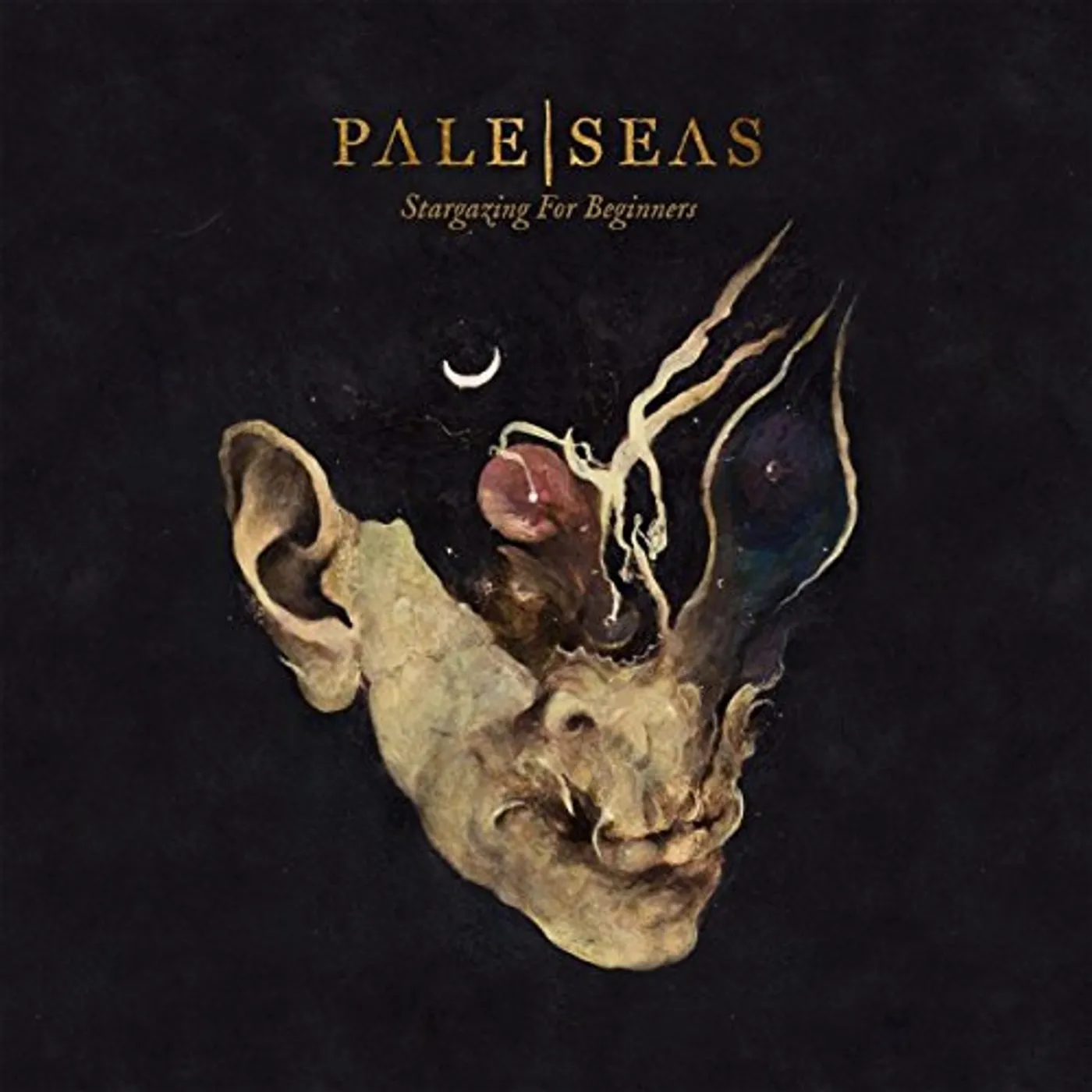 Pale Seas Stargazing for Beginners Vinyl Record