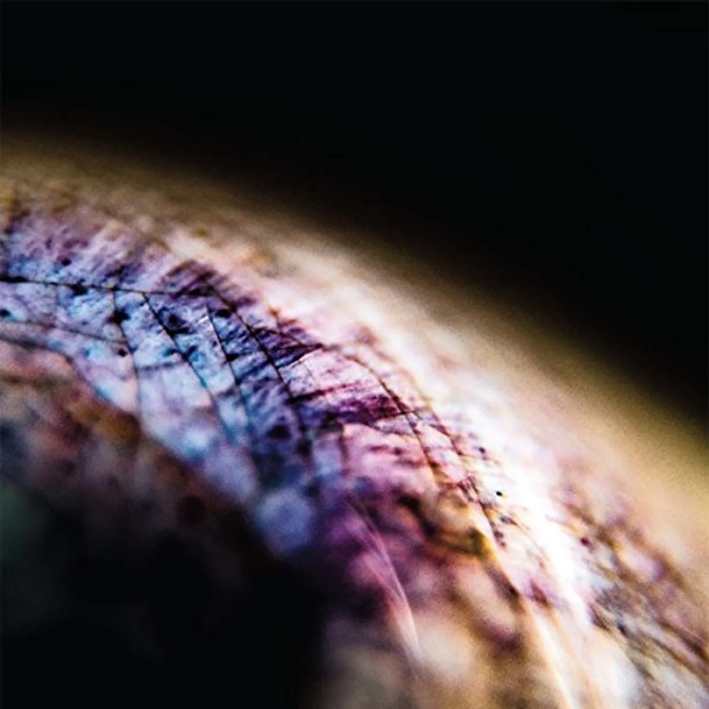 Emptyset Skin Vinyl Record