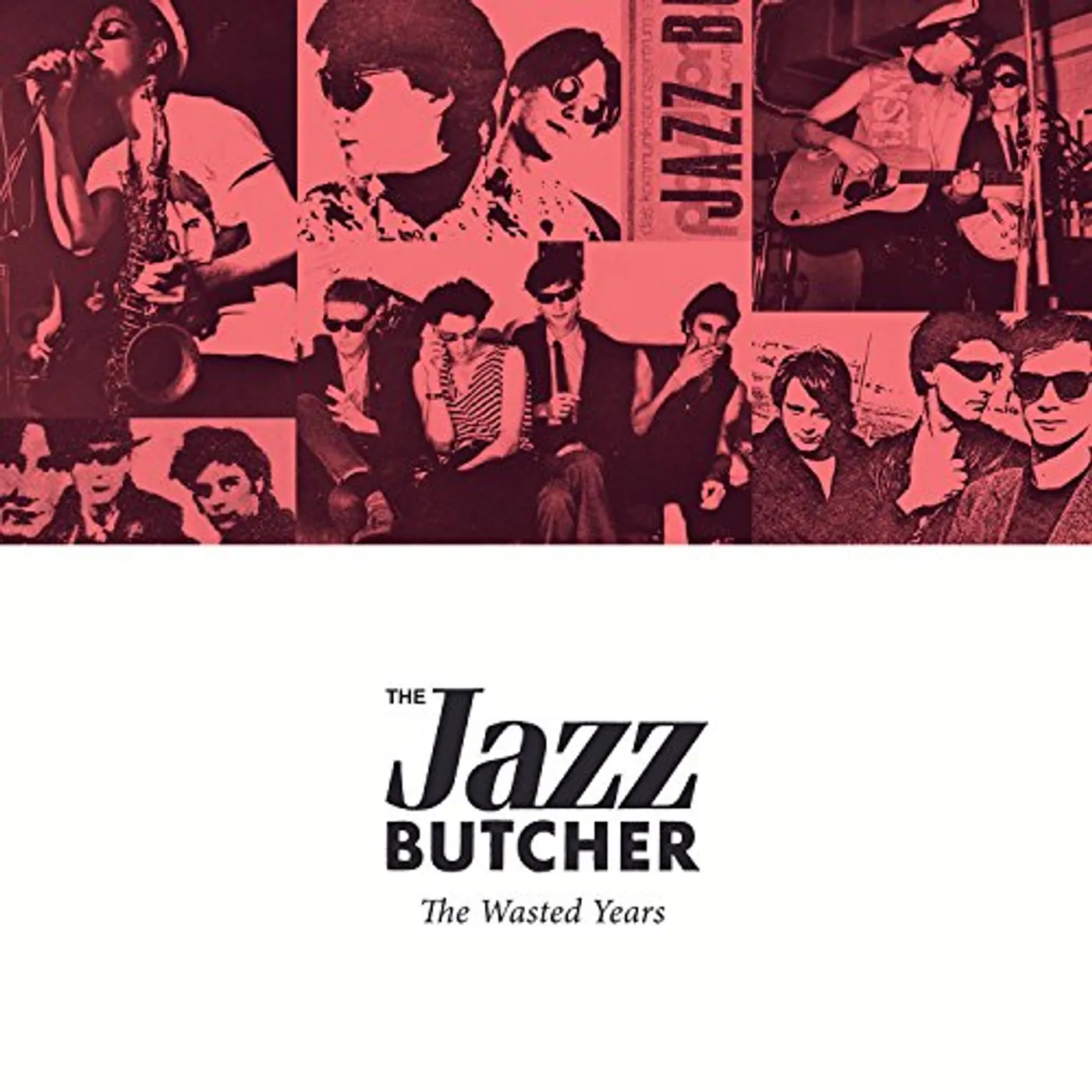 The Jazz Butcher WASTED YEARS CD