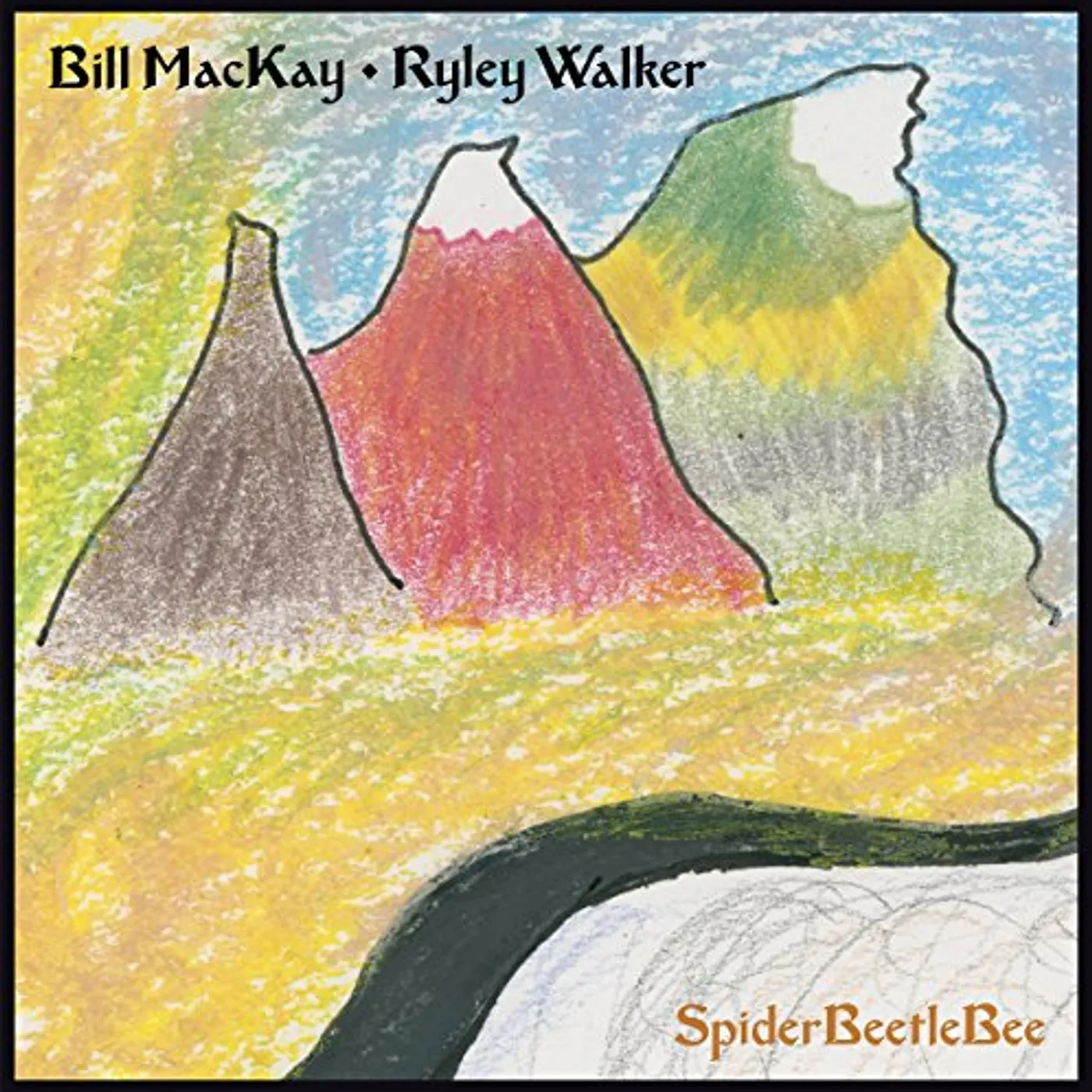 Bill MacKay & Ryley Walker SpiderBeetleBee Vinyl Record
