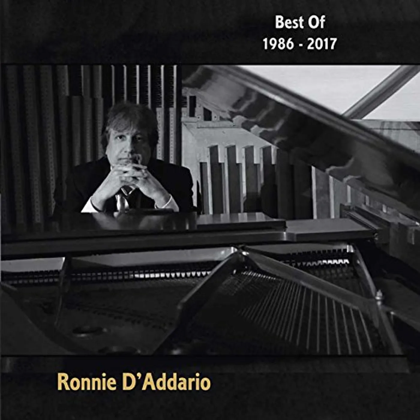 Ronnie D'Addario BEST OF 1986-2017 Vinyl Record