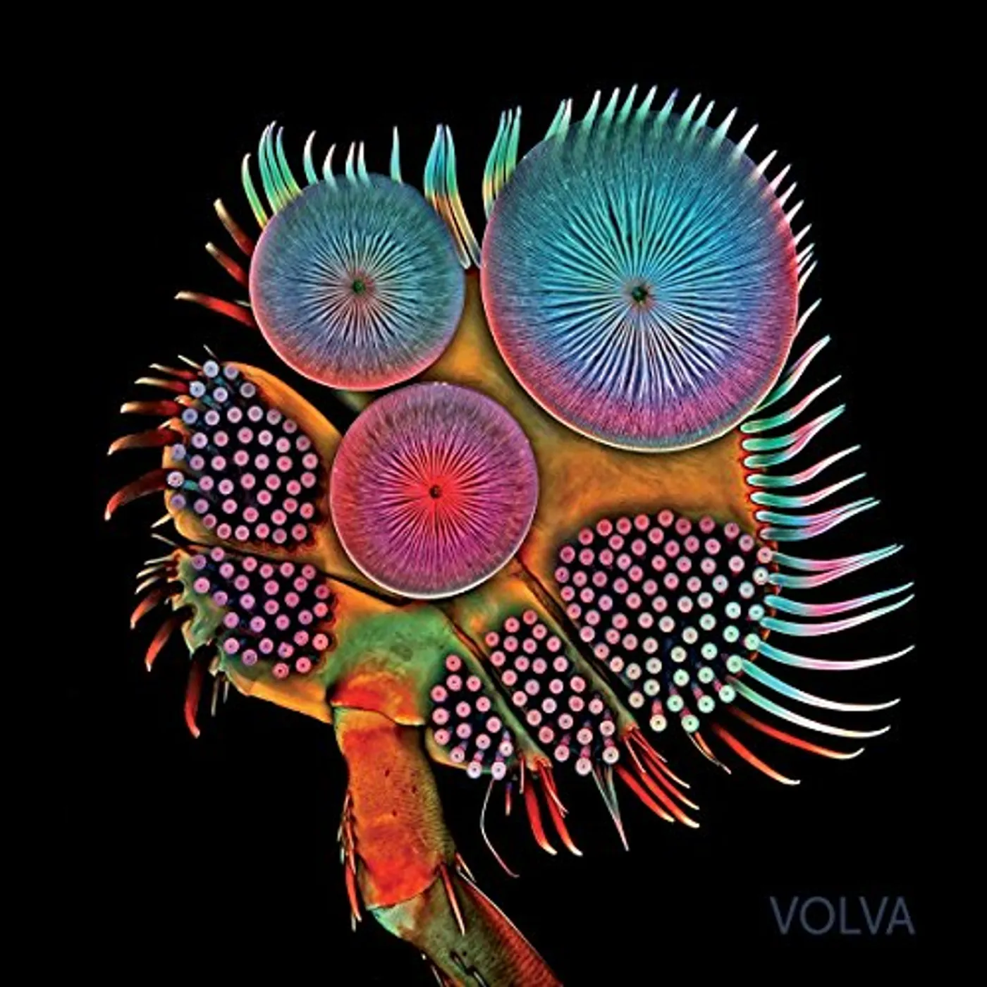 Echolot VOLVA Vinyl Record