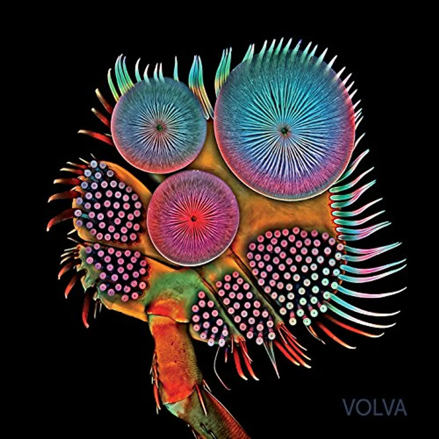 Echolot VOLVA CD