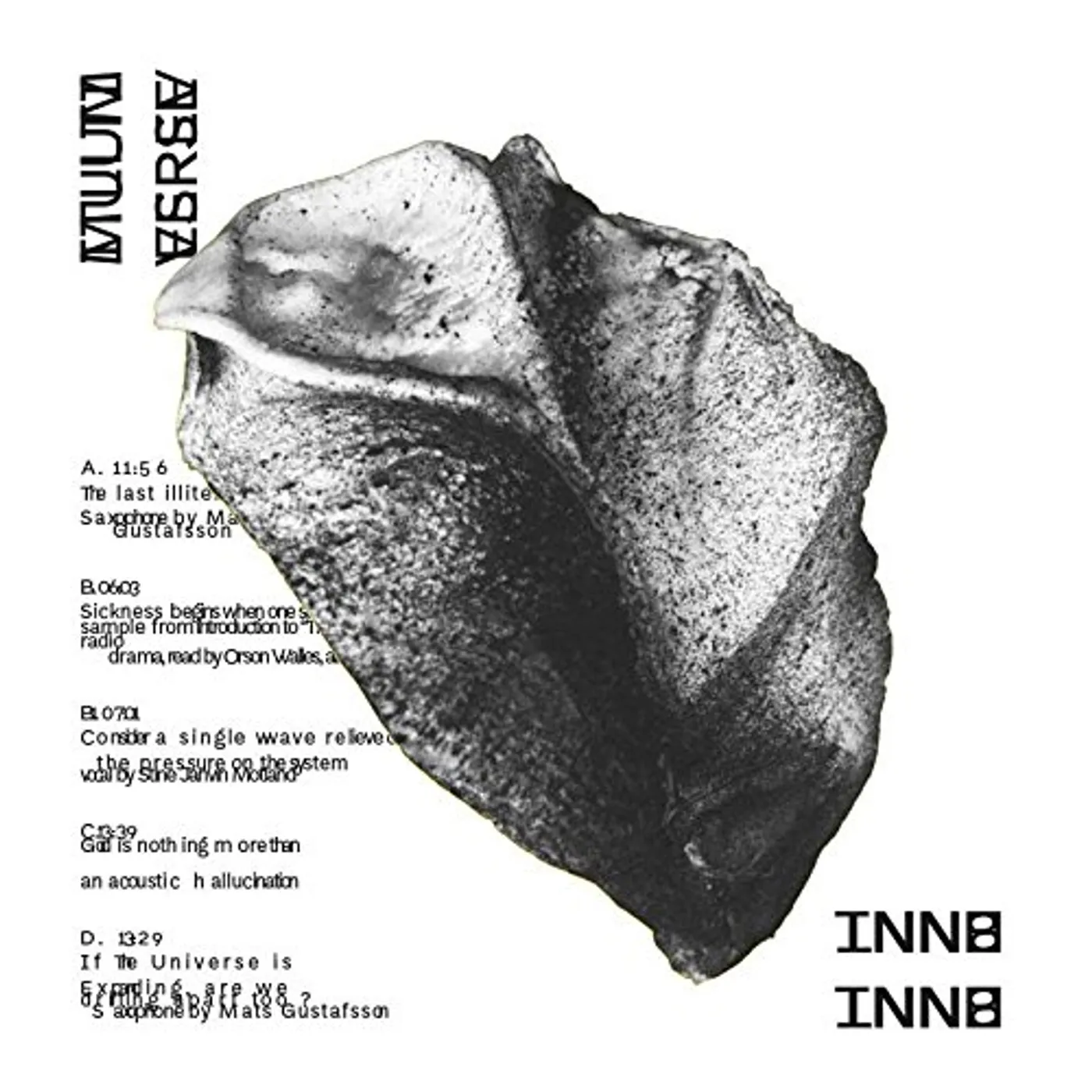 BNNT Multiverse Vinyl Record