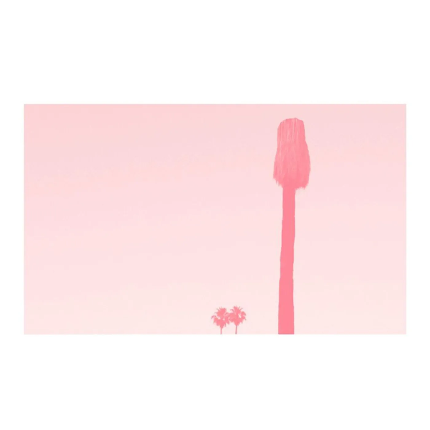 Pinkcourtesyphone RAVISHMENT OF MIRROR Vinyl Record