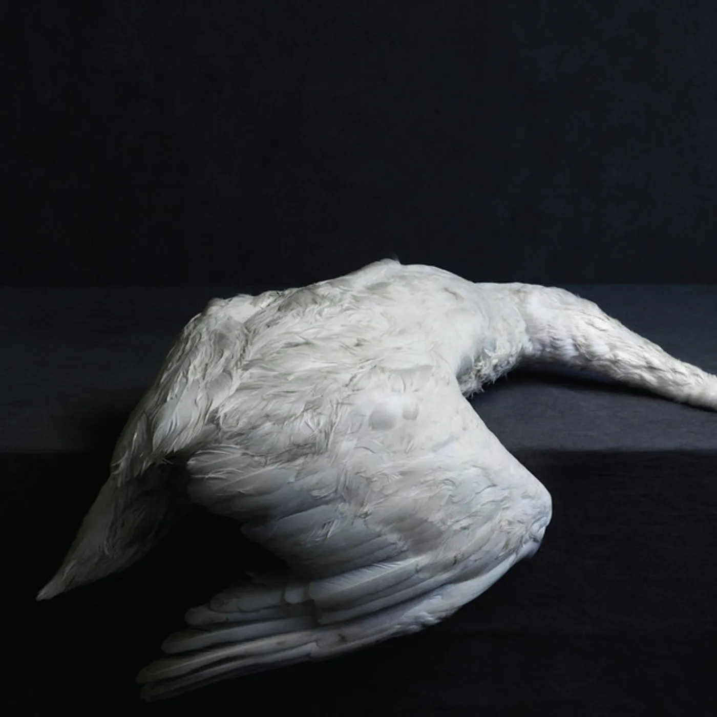 Amenra Mass VI Vinyl Record