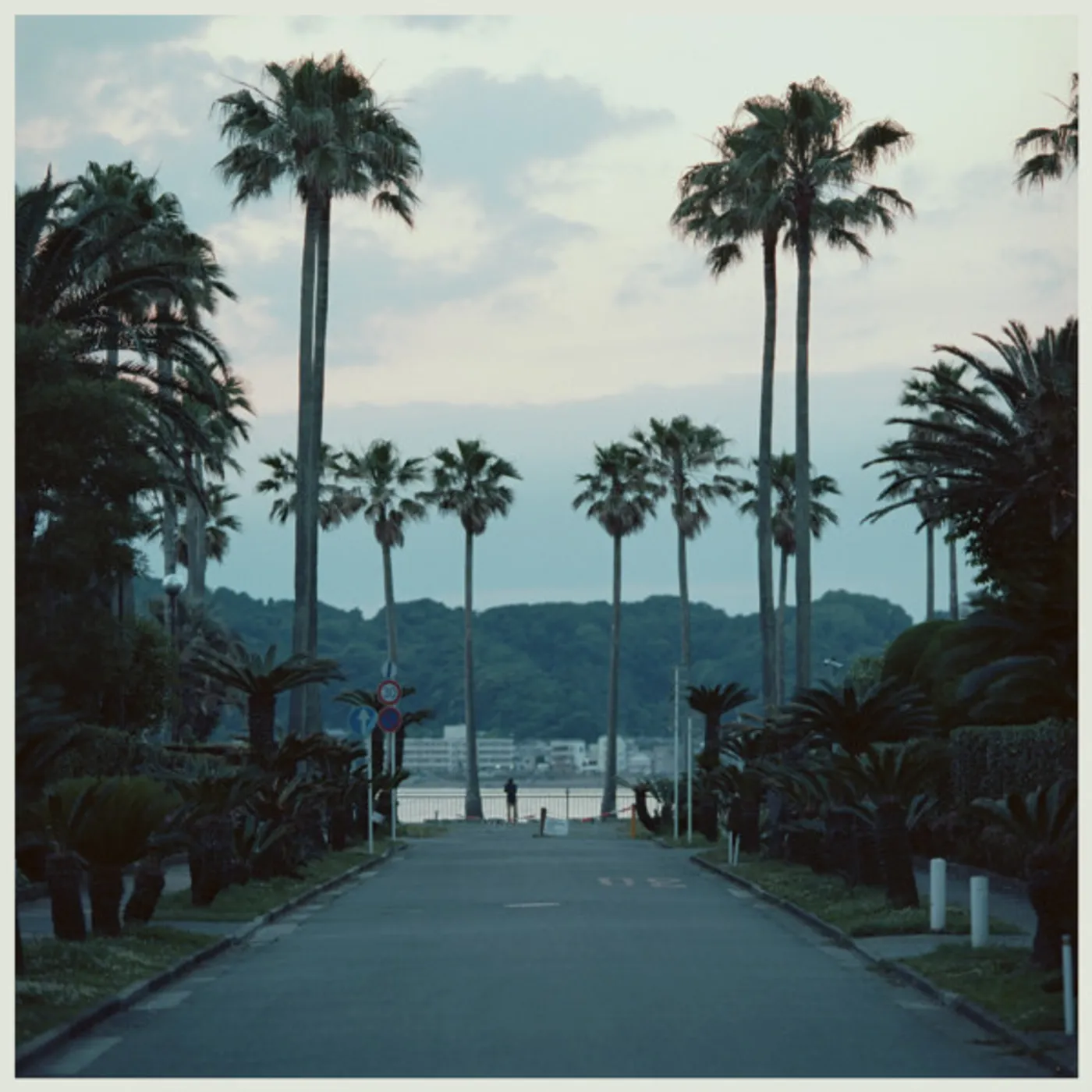 Submerse Are You Anywhere Vinyl Record