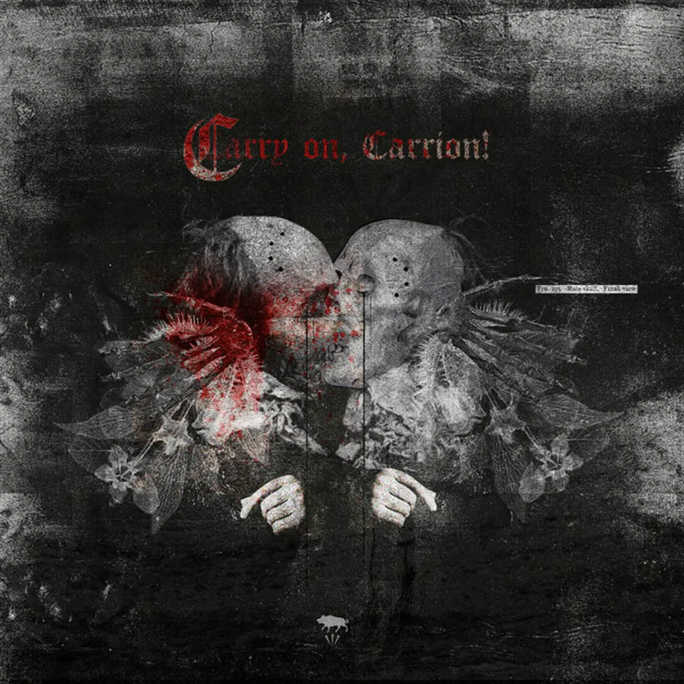 Ayat CARRY ON CARRION CD