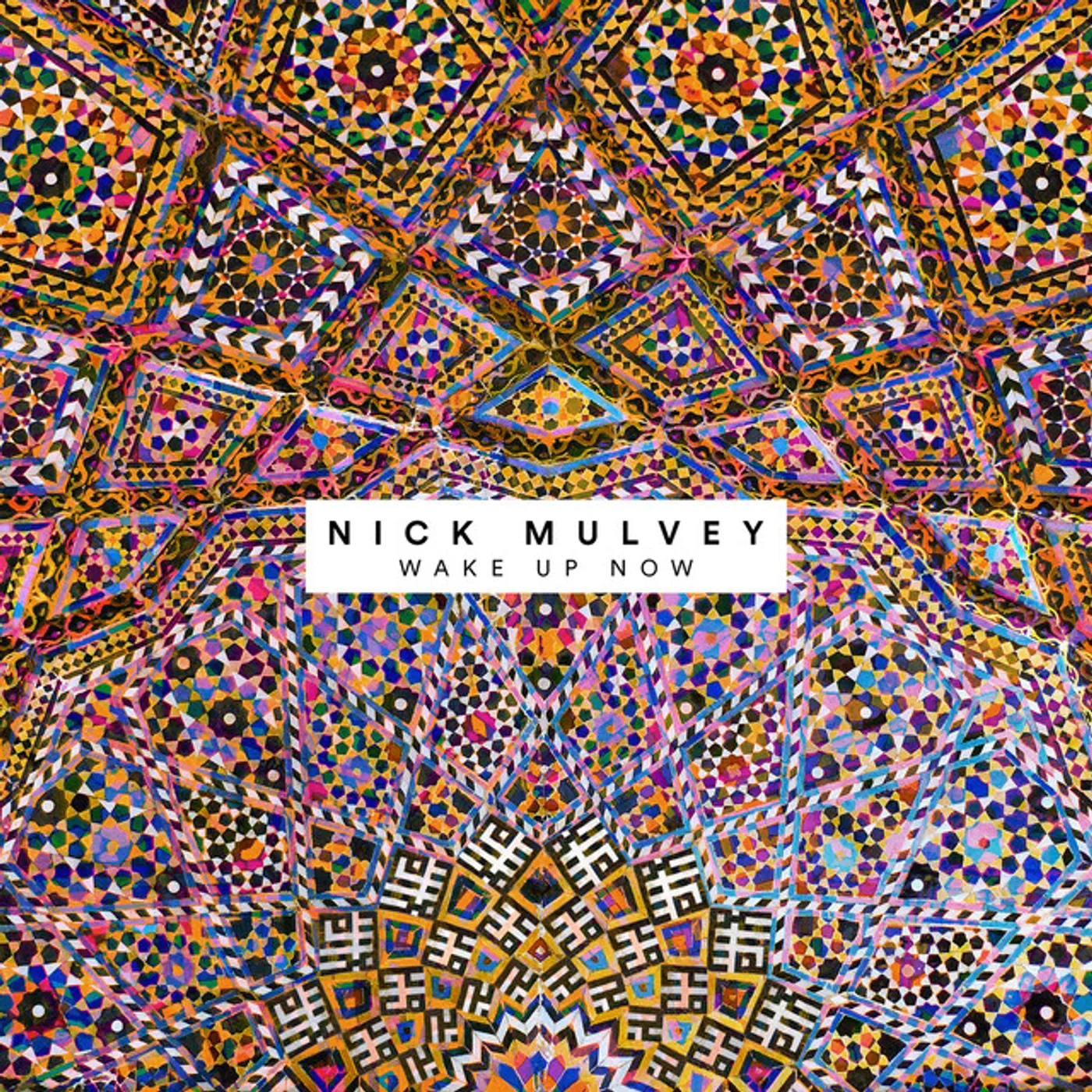 Nick Mulvey Wake Up Now Vinyl Record
