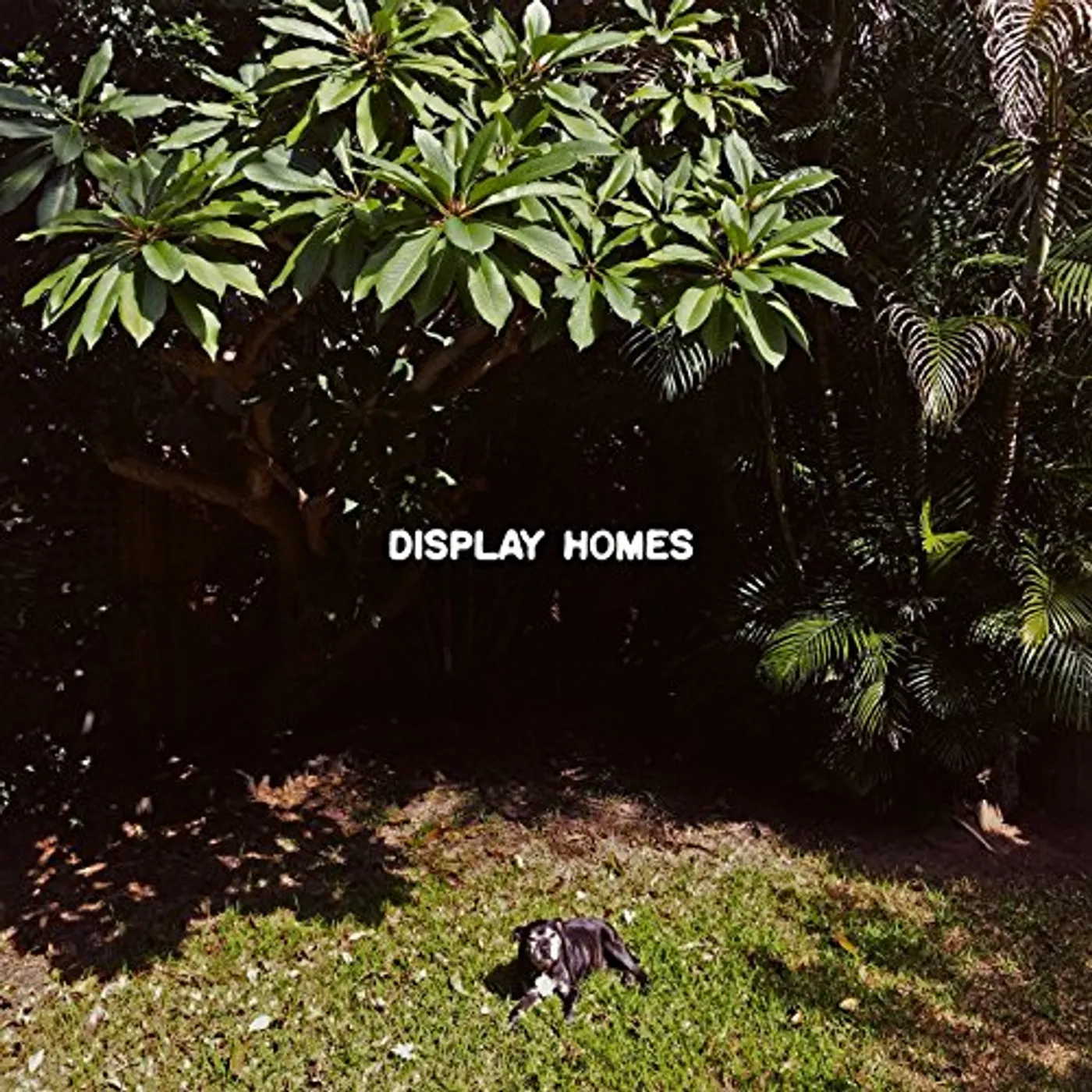 Display Homes Climate Change Vinyl Record