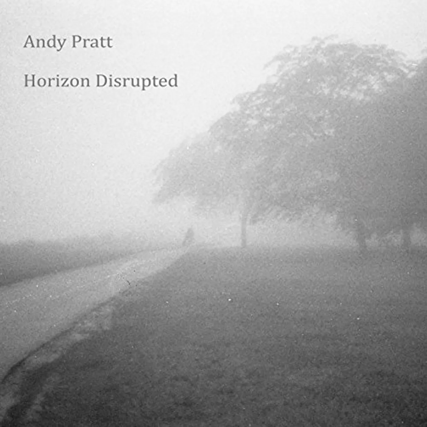 Andy Pratt Horizon Disrupted Vinyl Record