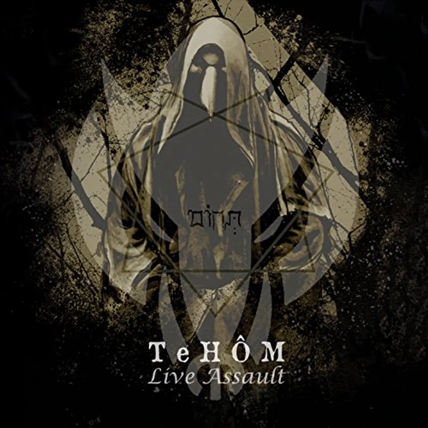 TeHÔM LIVE ASSAULT CD