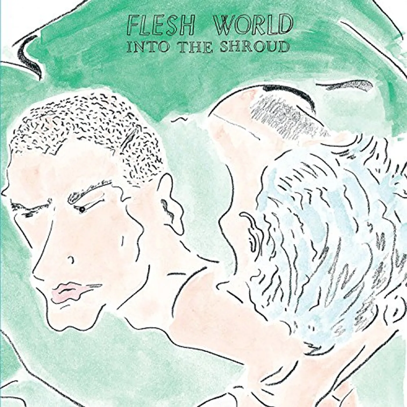 Flesh World Into the Shroud Vinyl Record