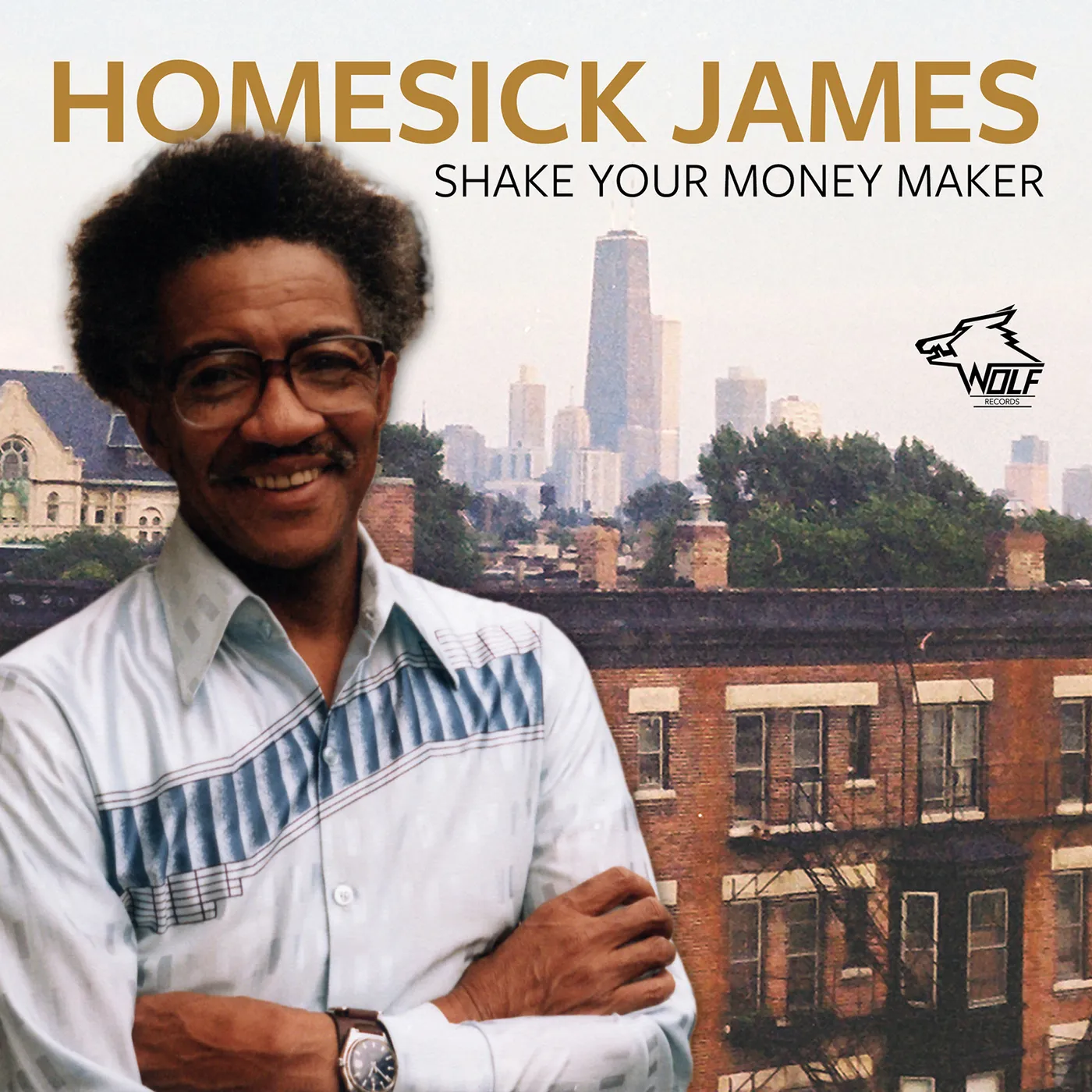 Homesick James SHAKE YOUR MONEY MAKER CD