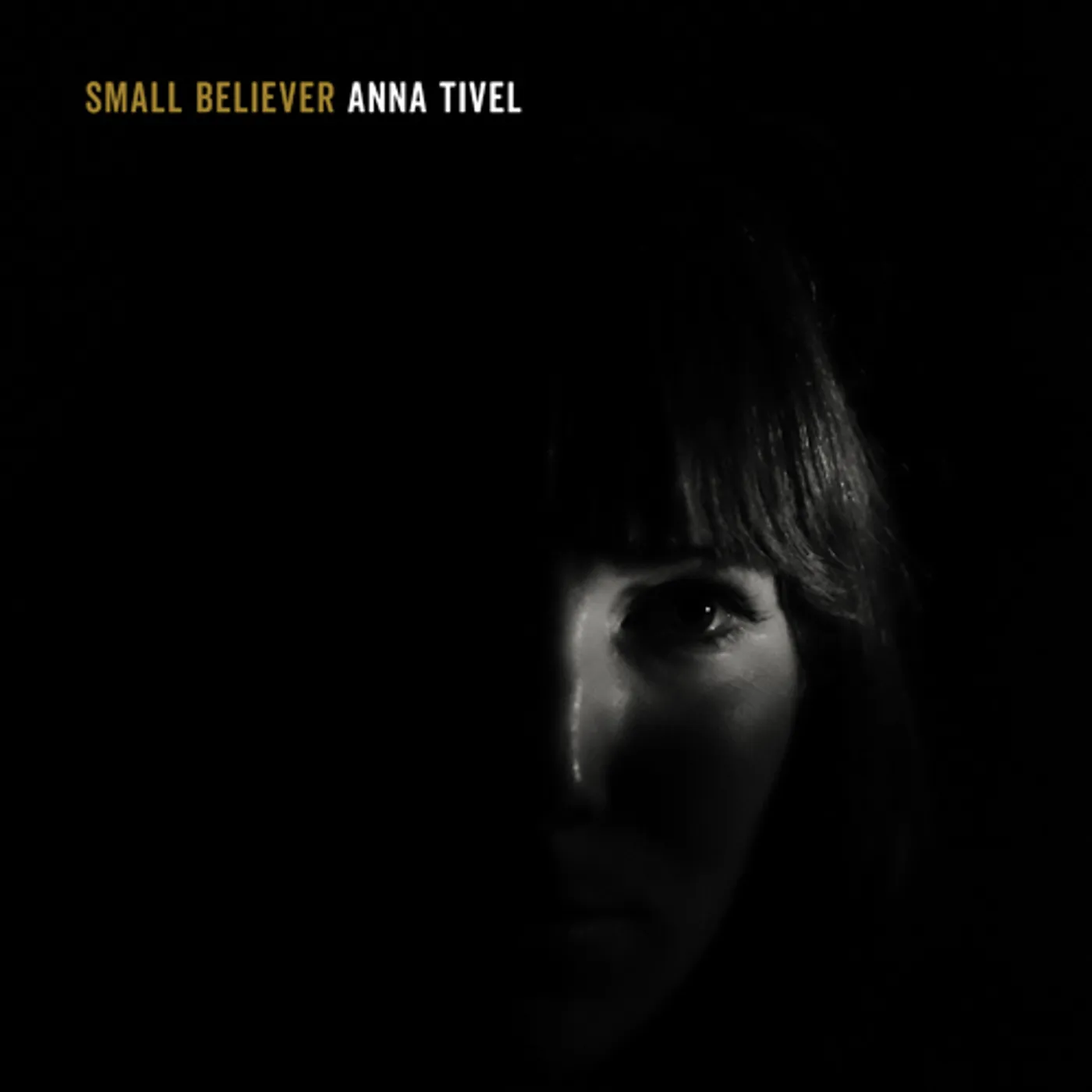 Anna Tivel SMALL BELIEVER CD