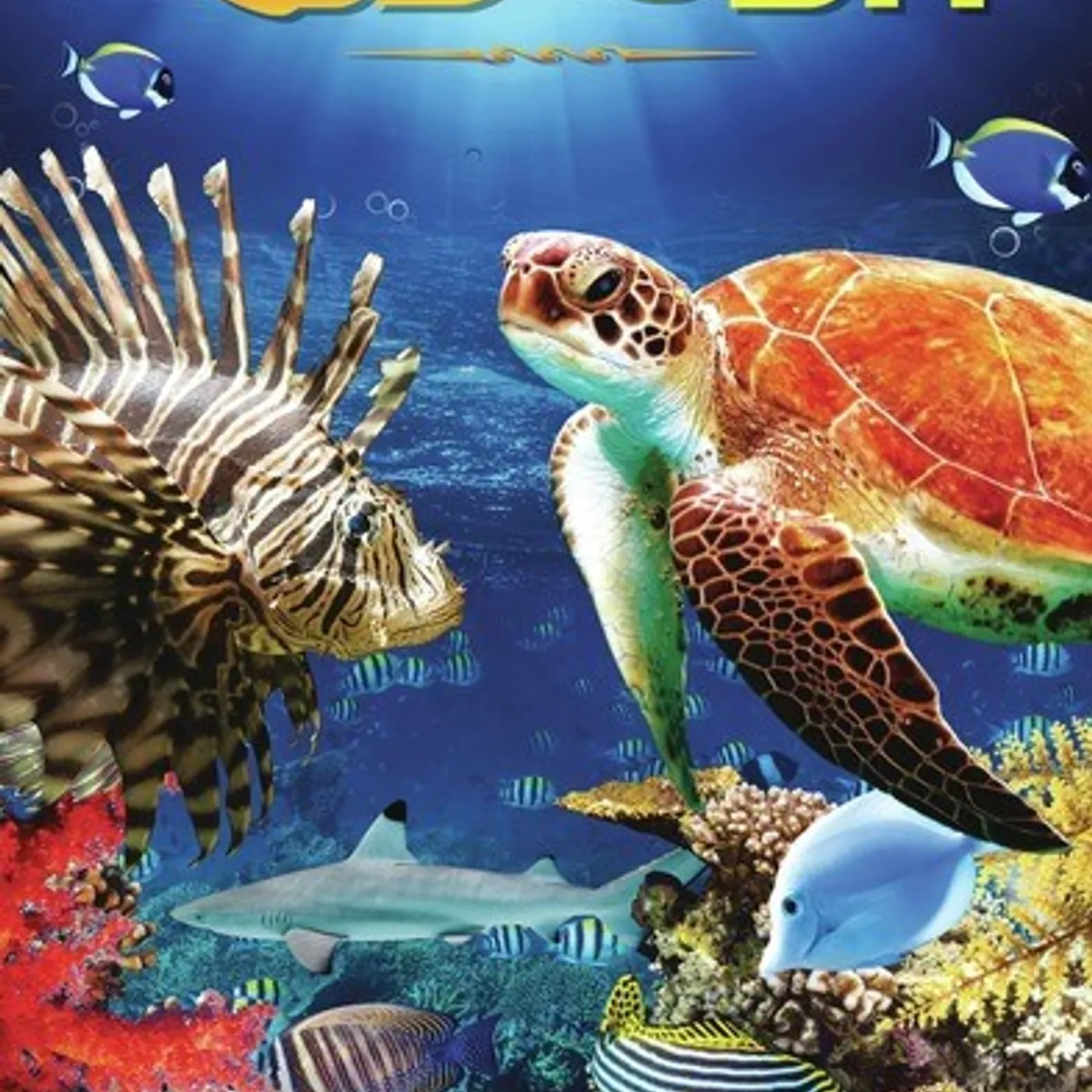 RED SEA DVD