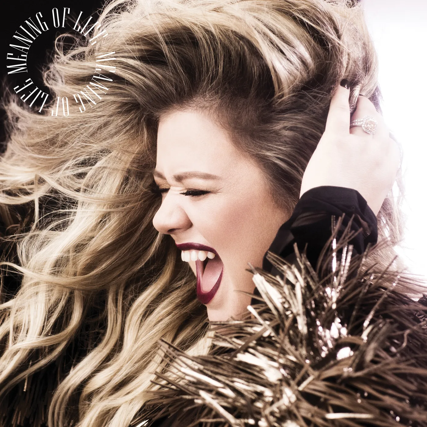 Kelly Clarkson Meaning Of Life Vinyl Record