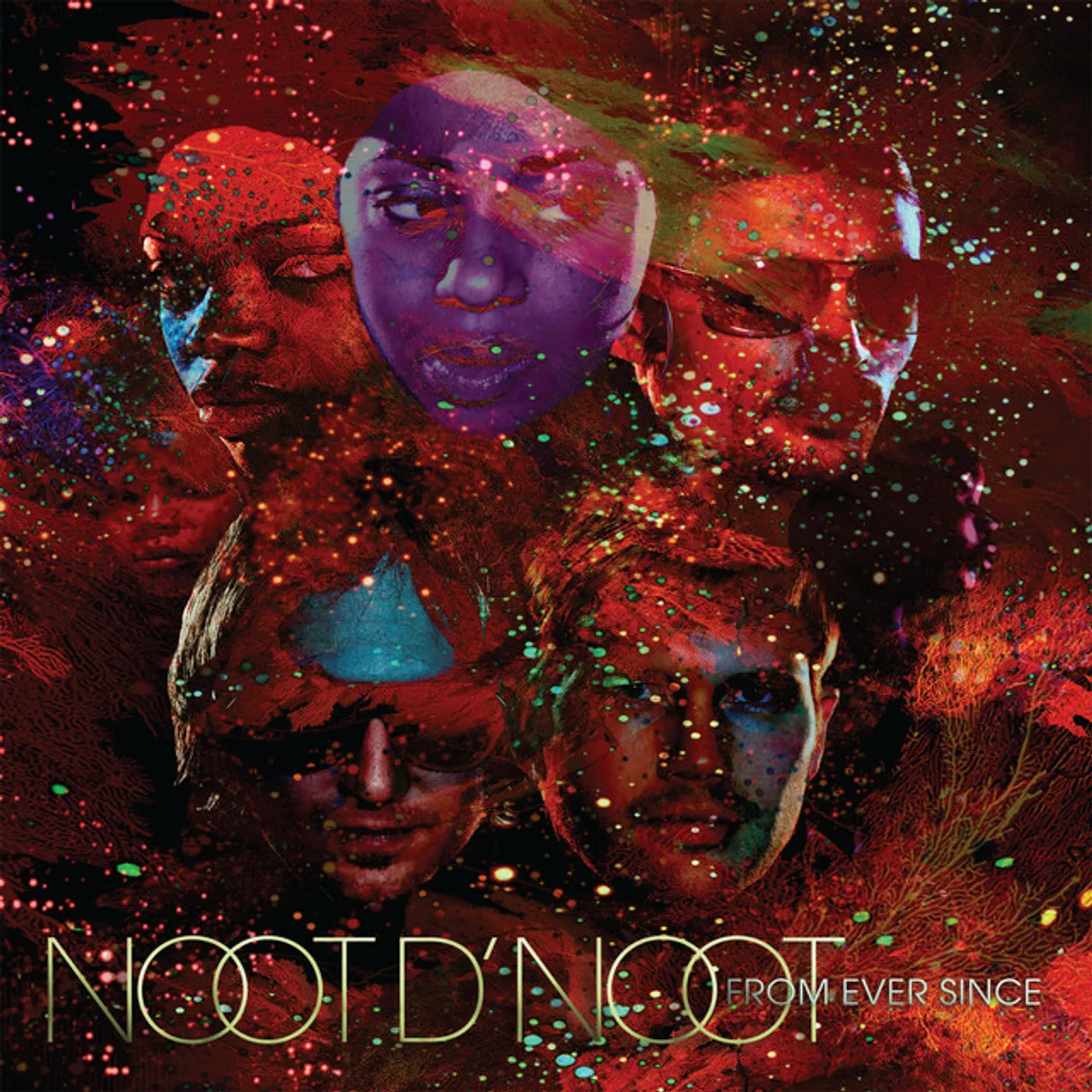 Noot d' Noot From Ever Since Vinyl Record