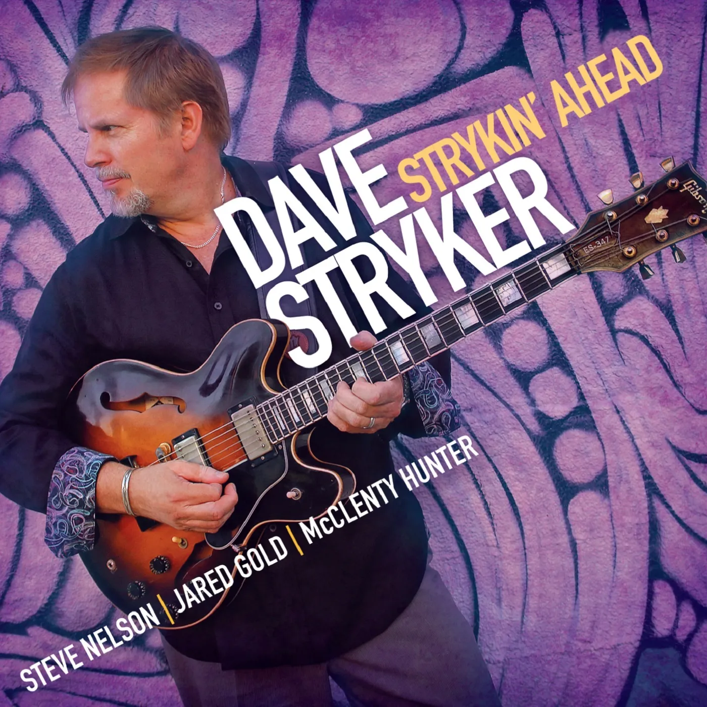 Dave Stryker Strykin' Ahead Vinyl Record