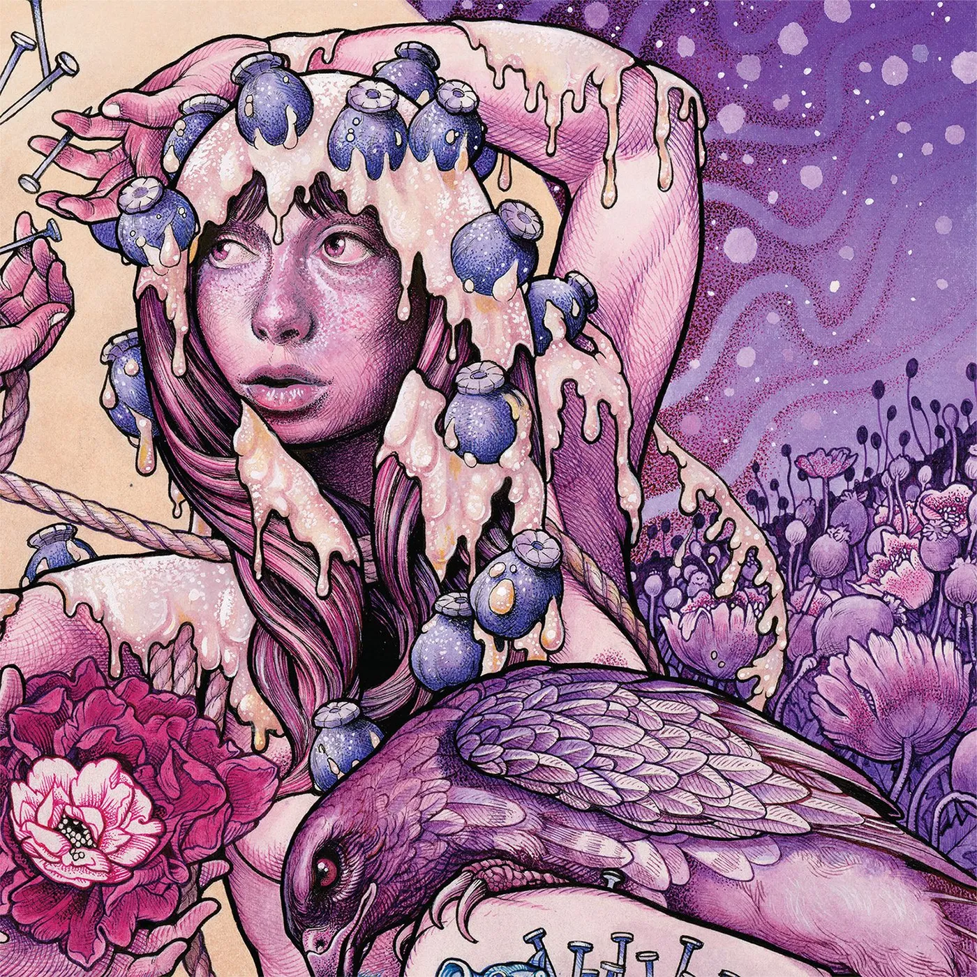 Baroness TRY TO DISAPPEAR Vinyl Record