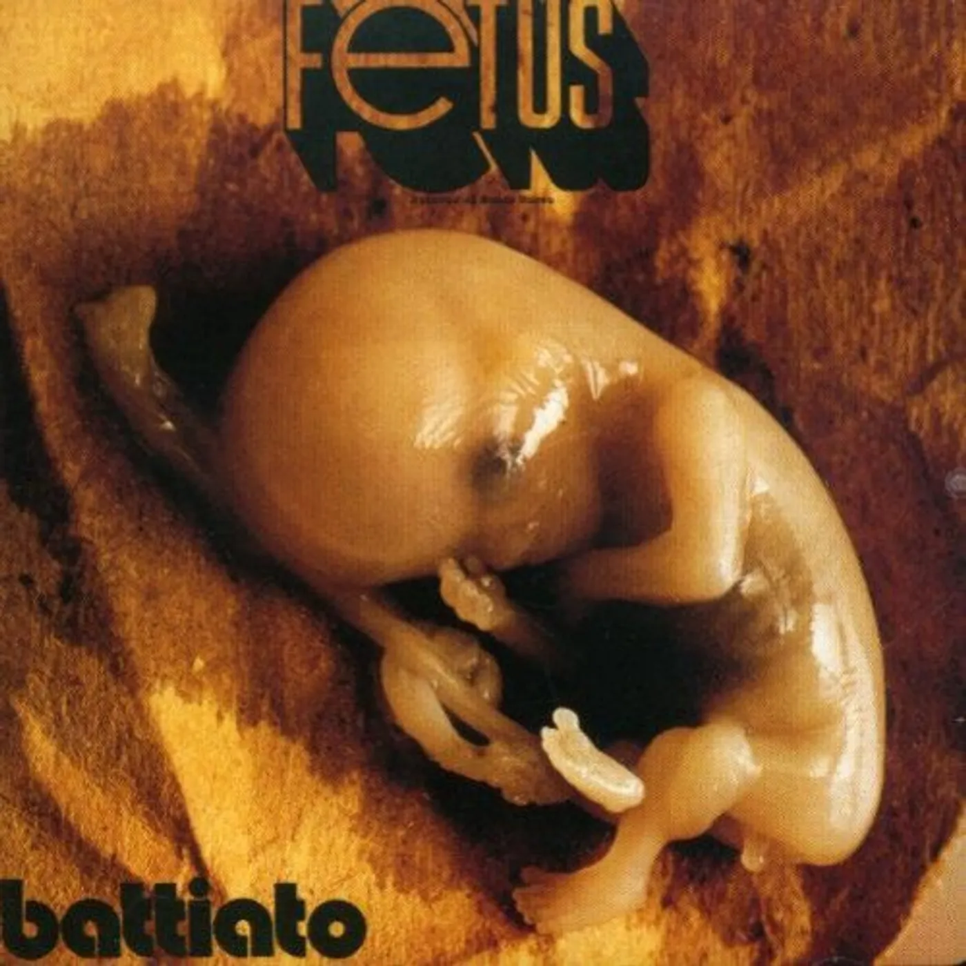 Franco Battiato Fetus Vinyl Record