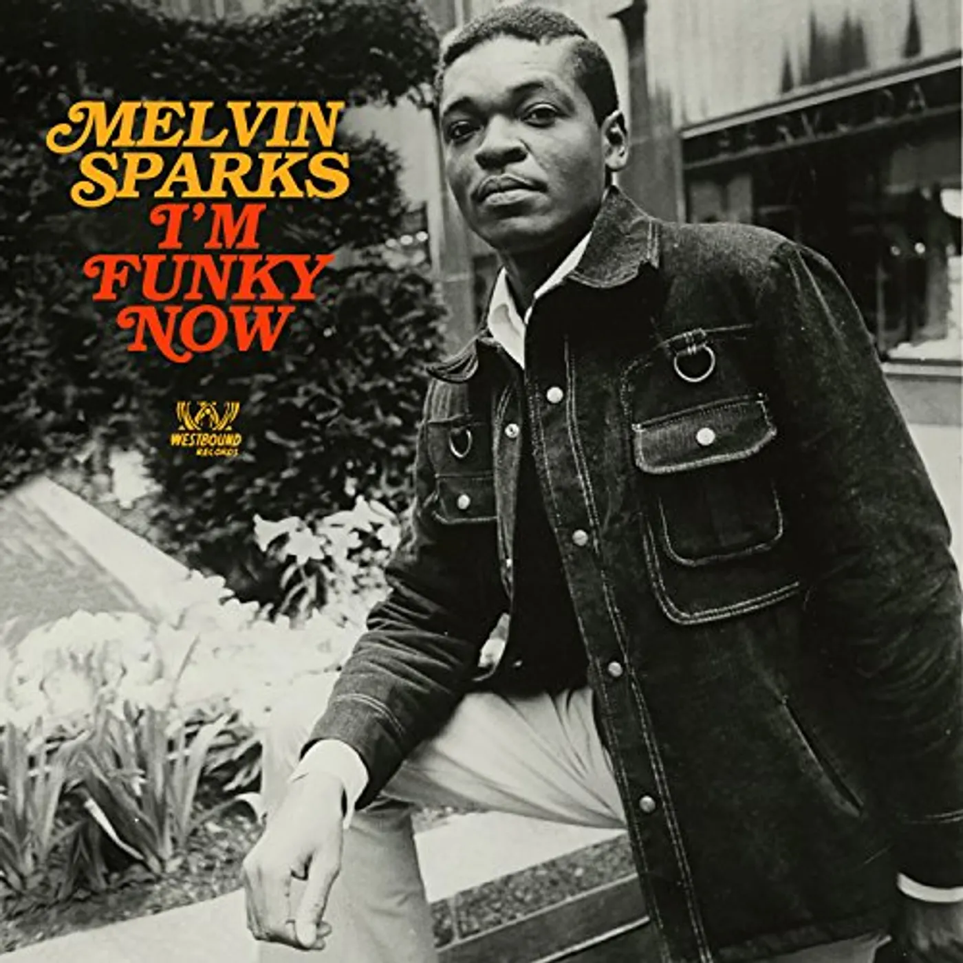 Melvin Sparks I'M FUNKY NOW CD