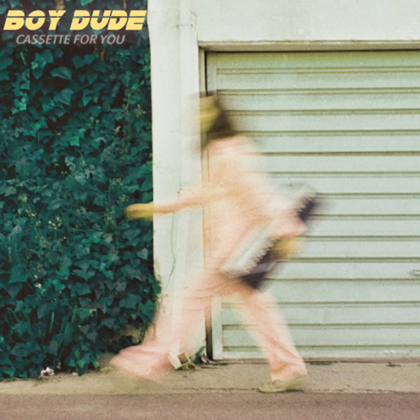BOY DUDE Cassette For You Vinyl Record